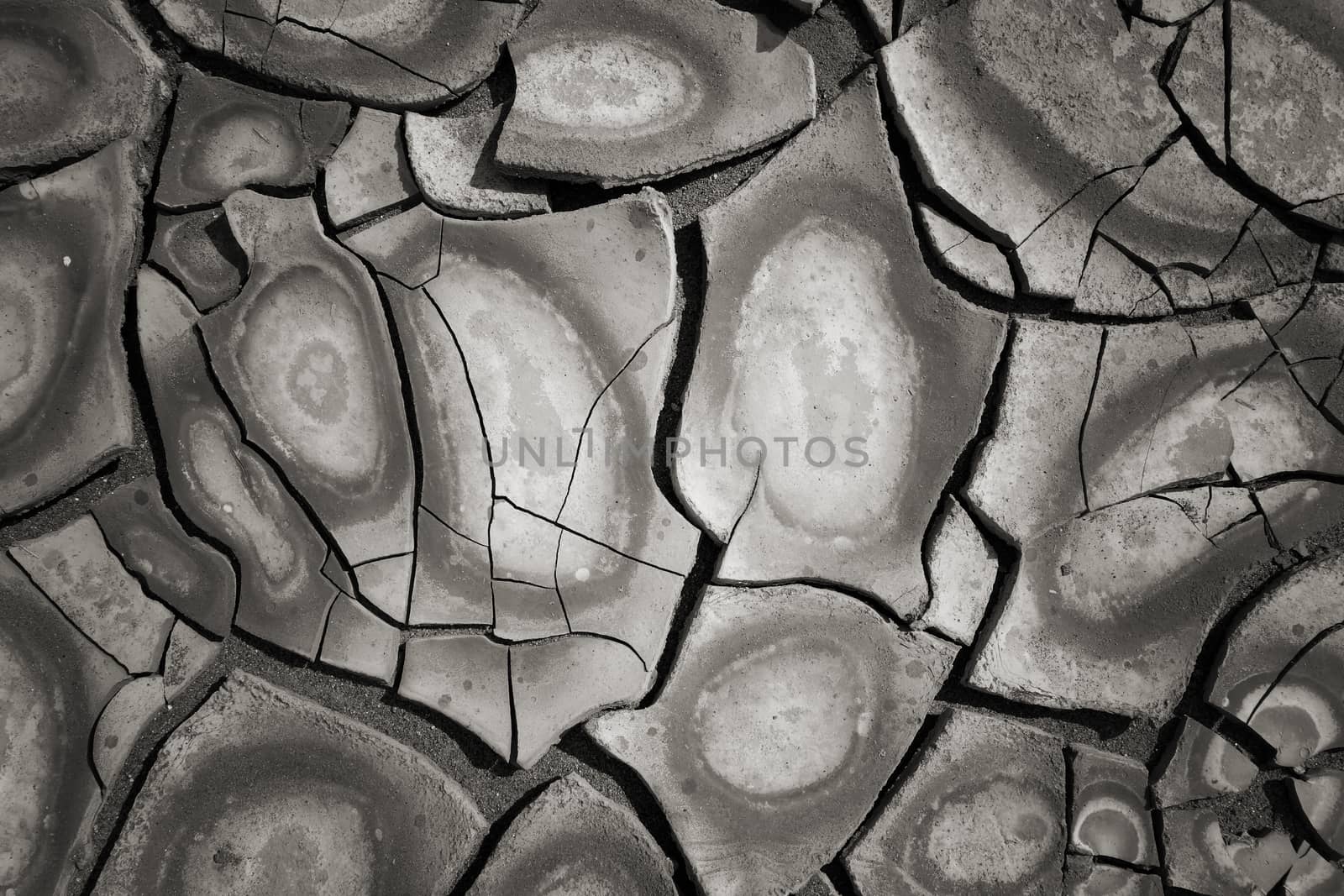 dry mud land background texture. Global Warming concept                               