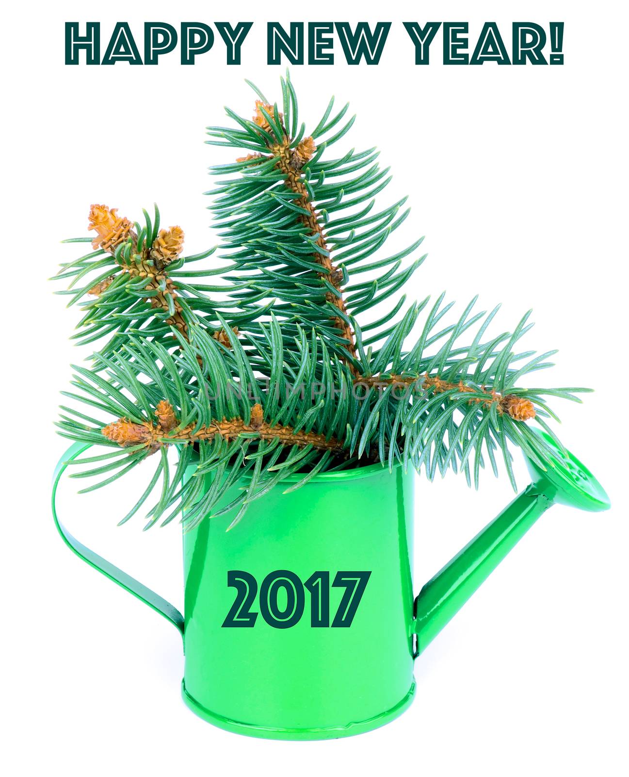 New Year Concept with Bunch of Beautiful Spruce Branch in Green Watering Can with Inspiration and 2017 Symbol isolated on white background