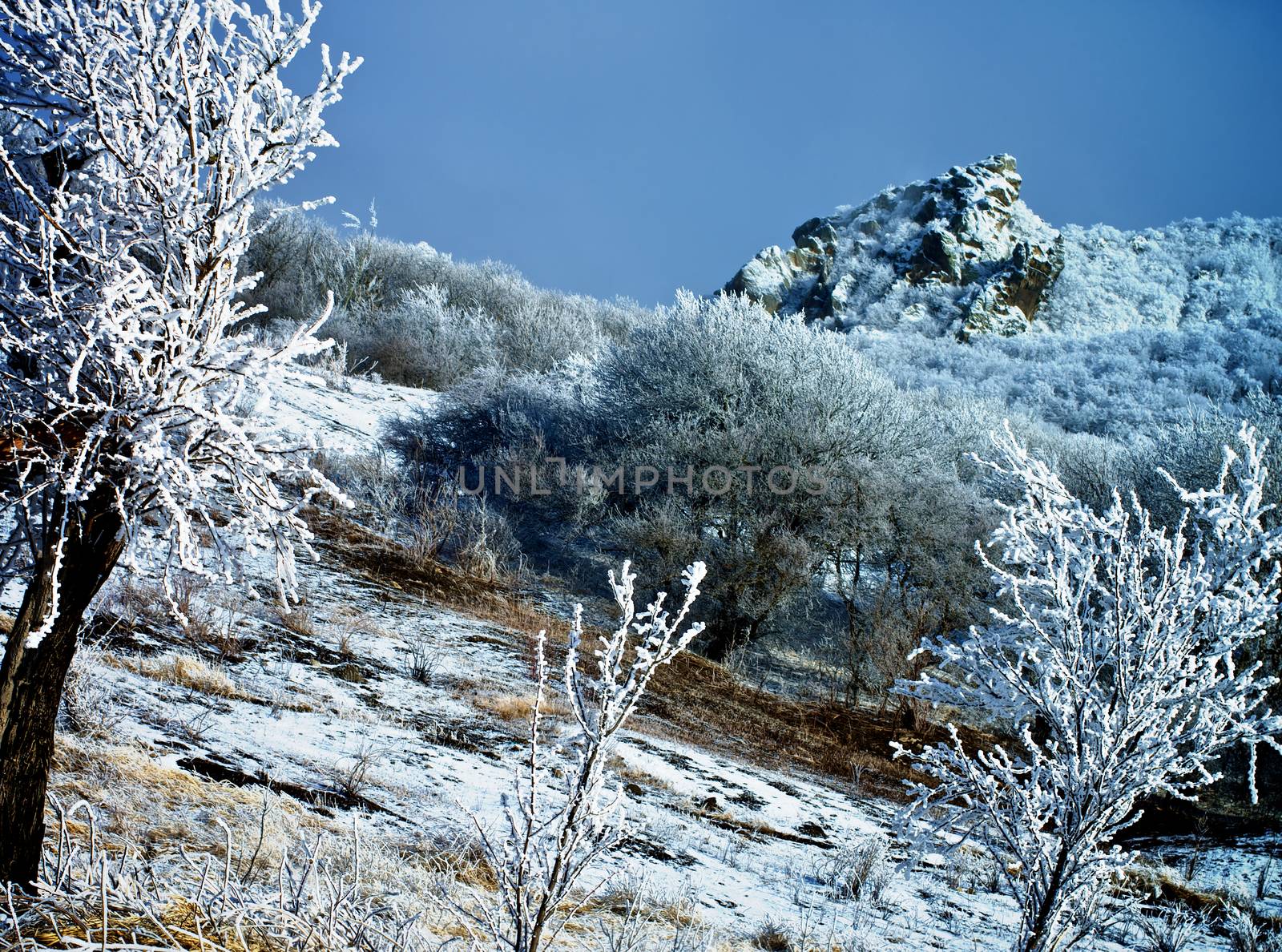 Frozen Winter Landscape by zhekos