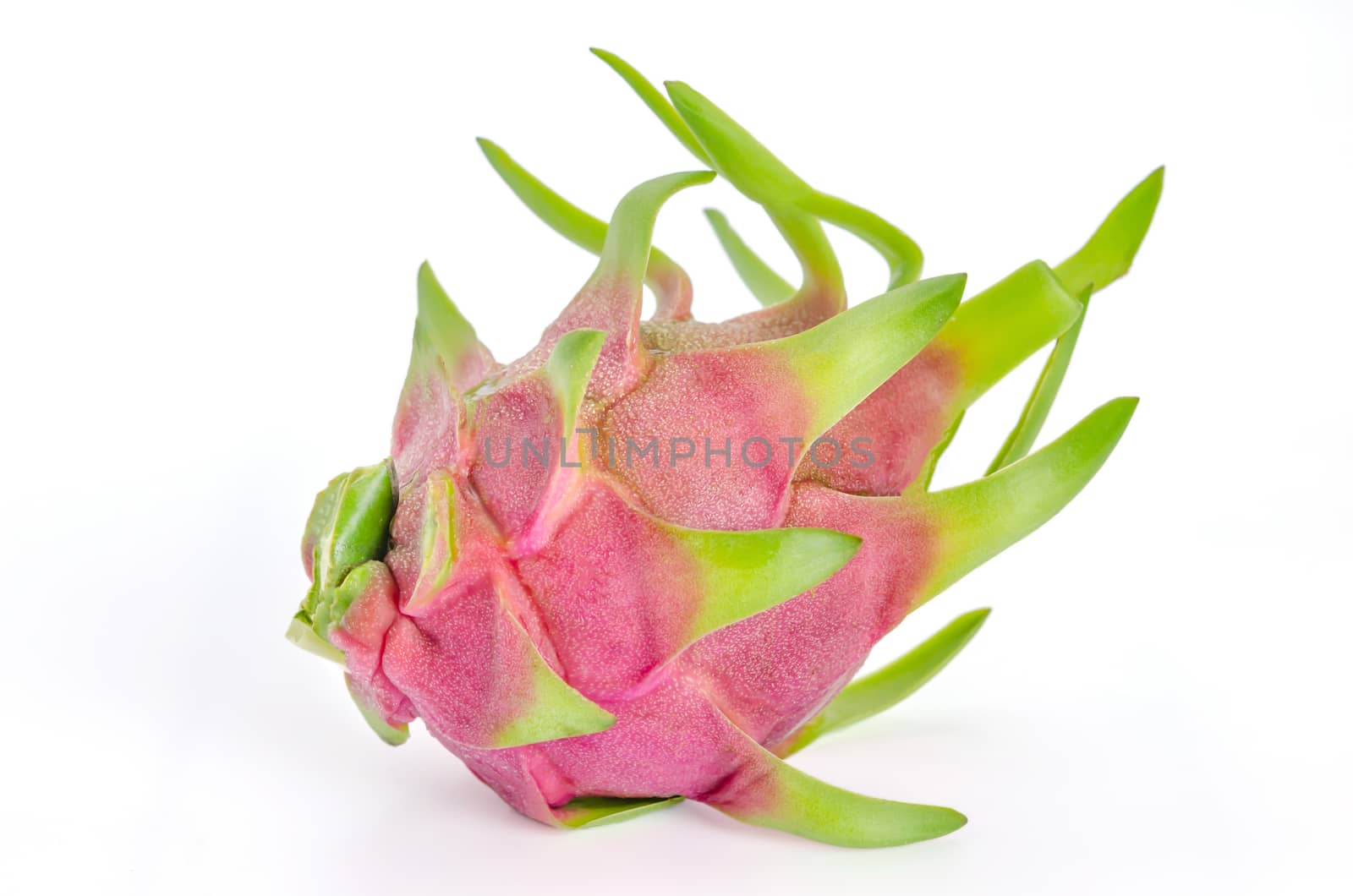 Fresh pink pitaya or dragon fruit  on white background