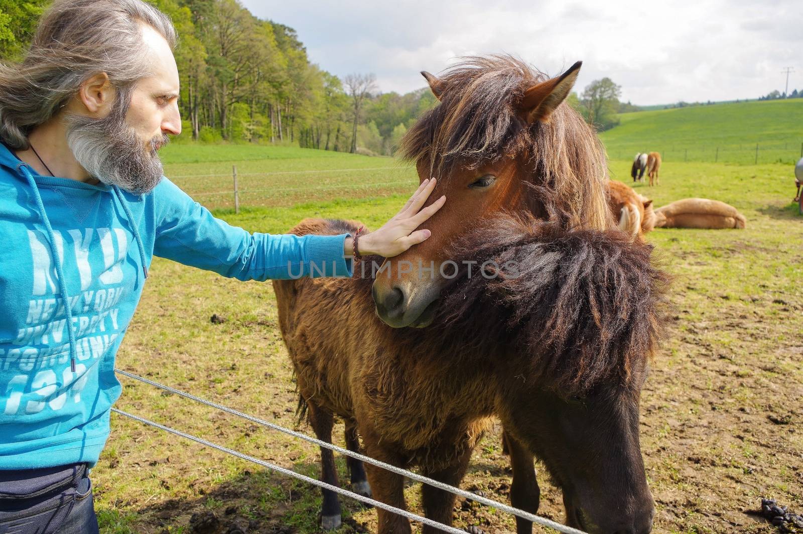 man with long hair speaking  horses on meadow by evolutionnow