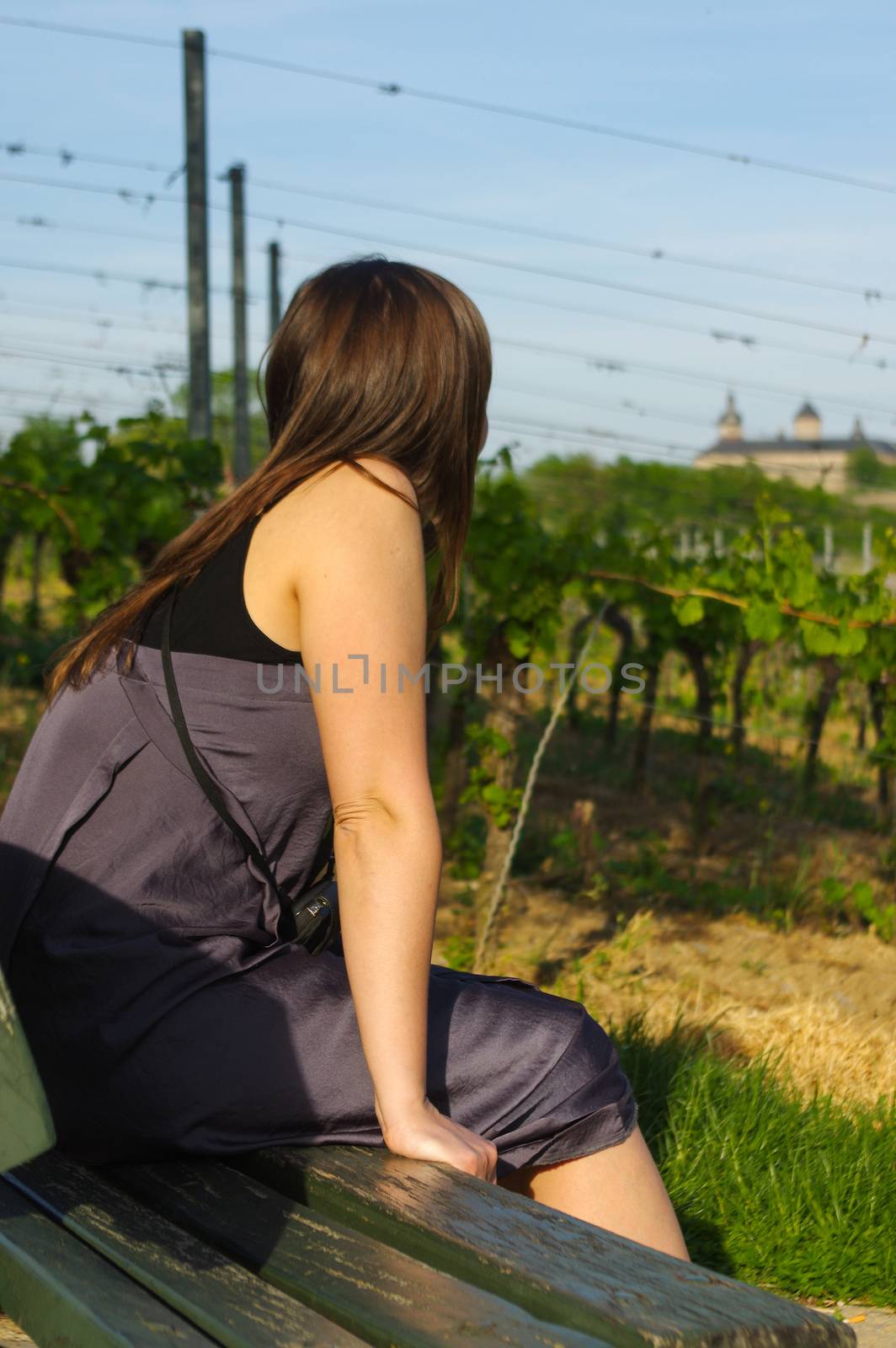 a happy girl on bench relaxing with a view to grape field landcape