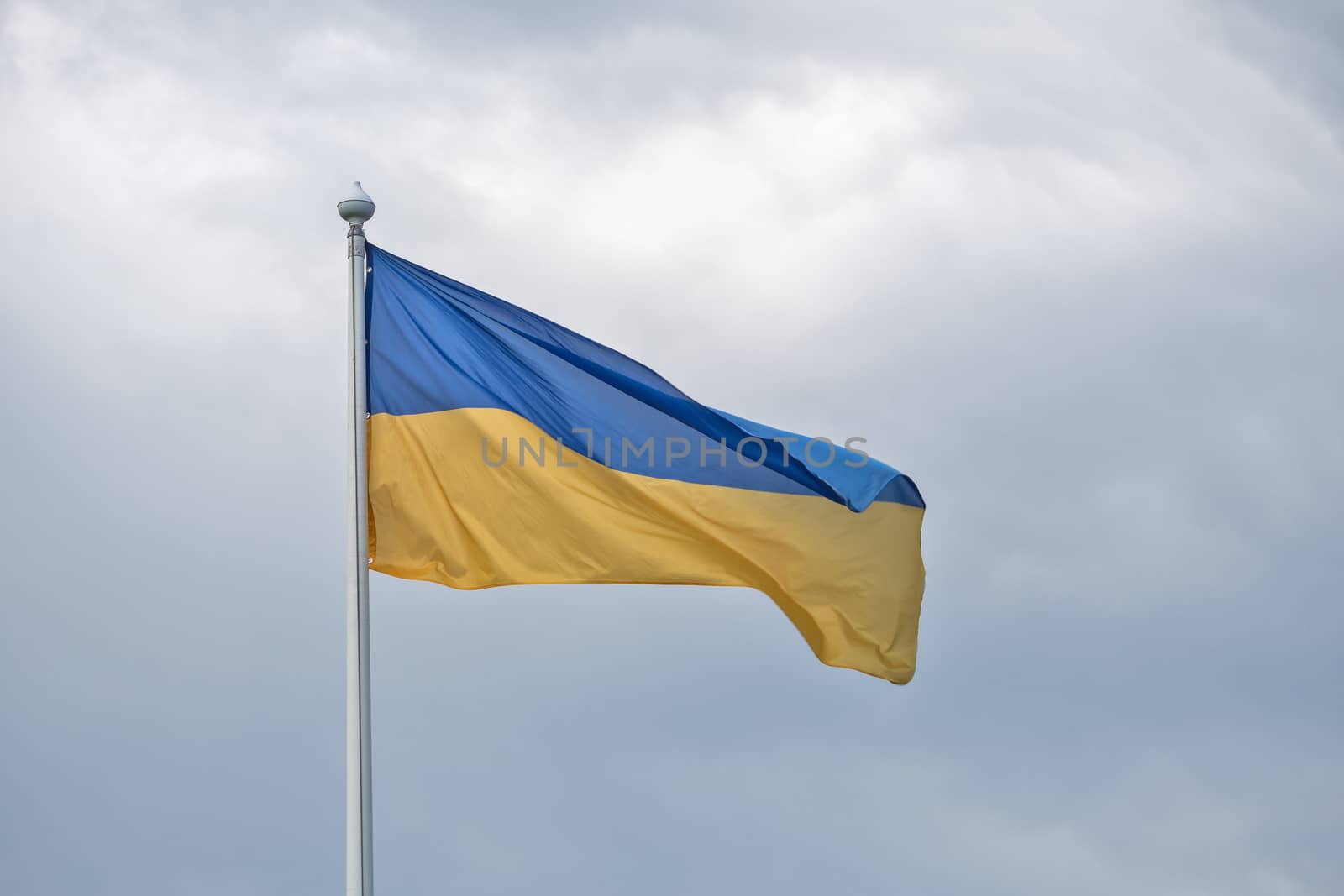 The flag of Ukraine flutters on wind. by dymov