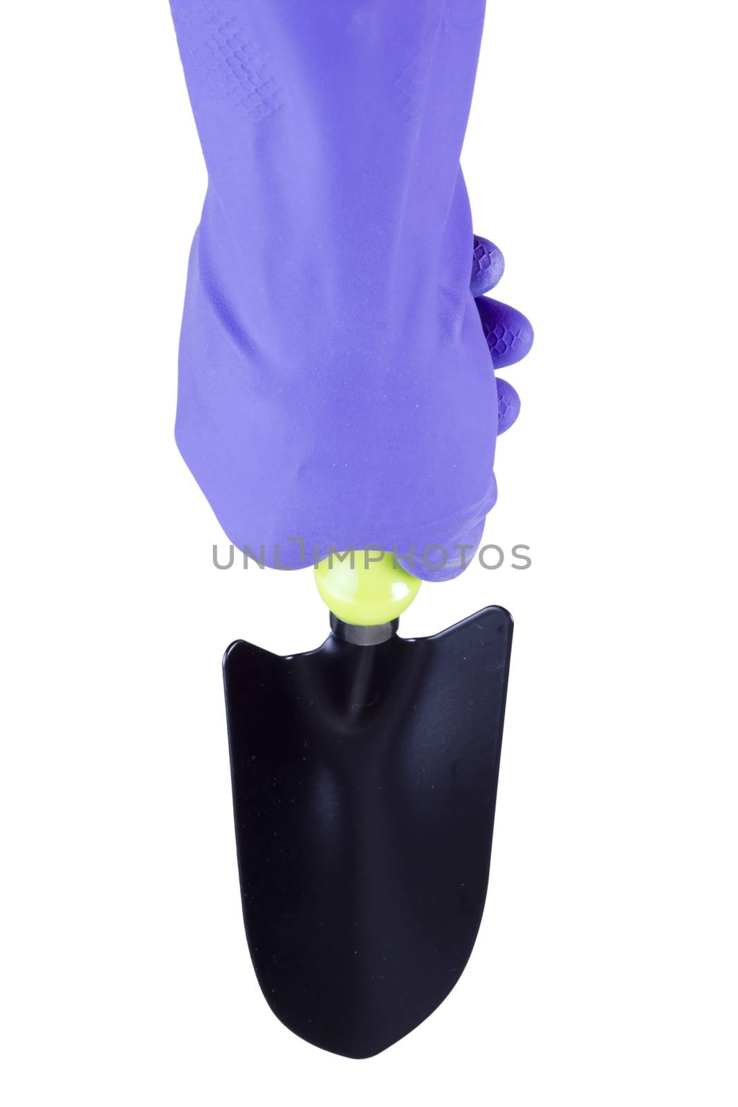 Hand in glove with garden tool on white background