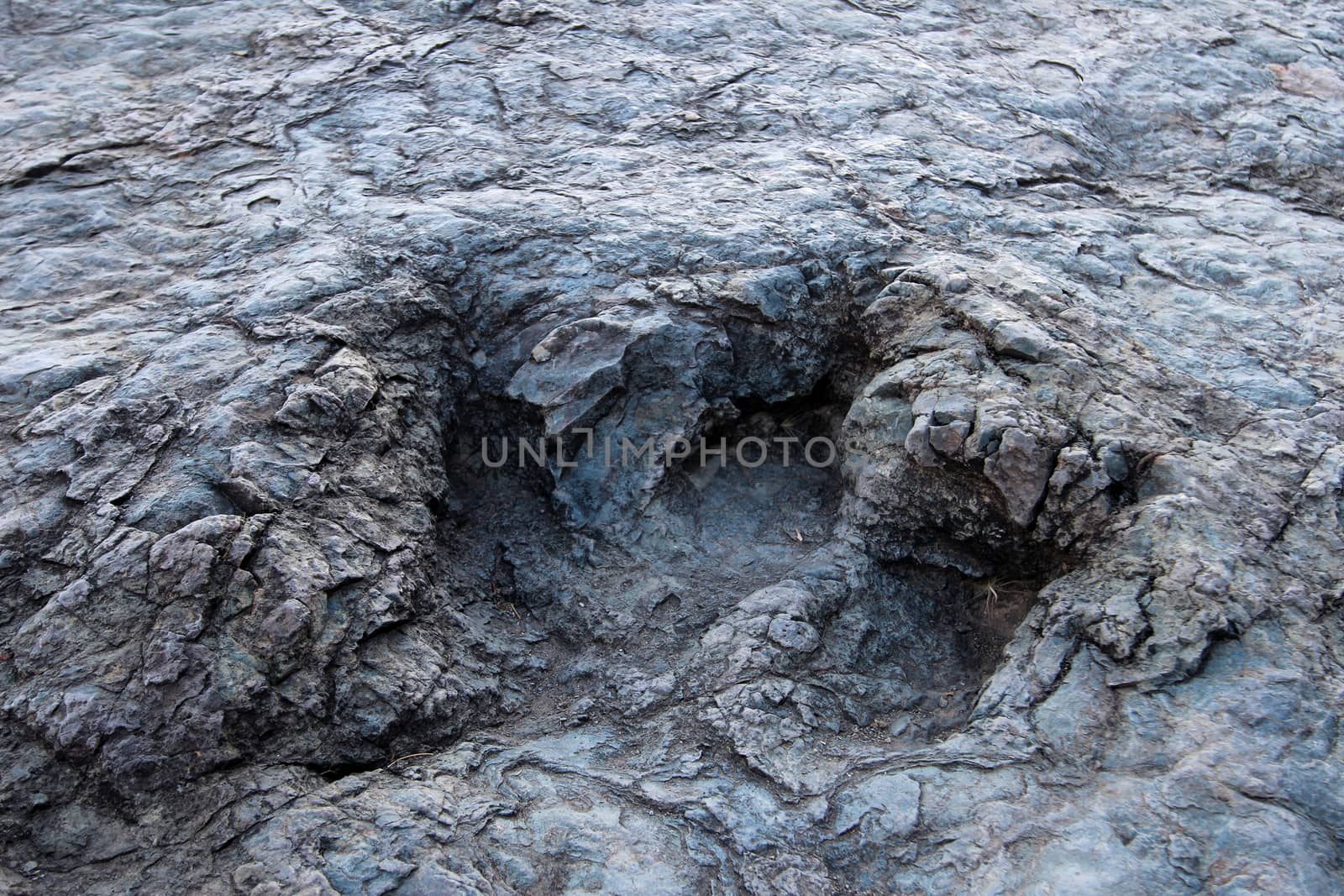 Huge dinosaur footprints, valley of Maragua, Bolivia