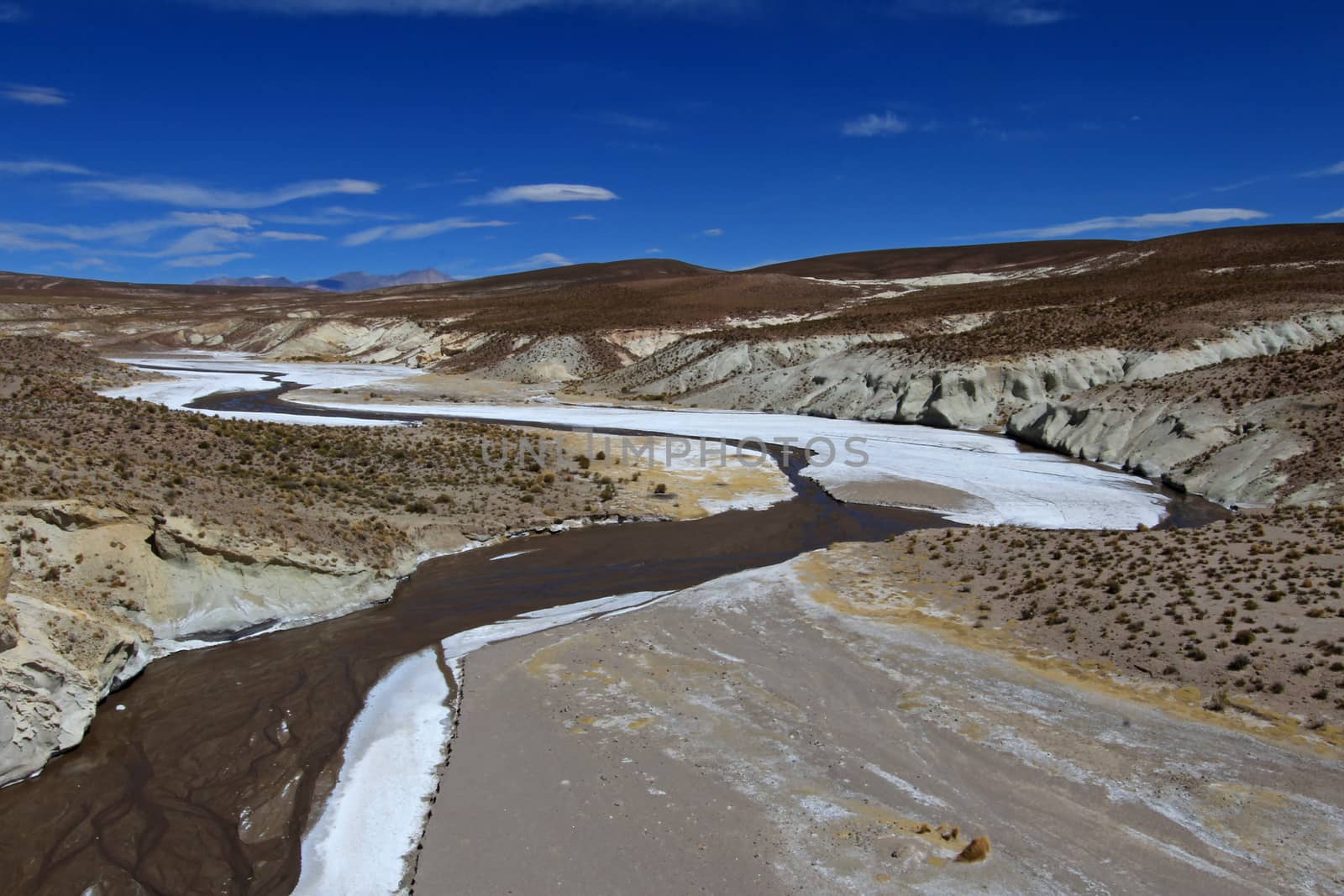 Colorful salt river valley in the andean mountains near Tupiza, Bolivia, South America