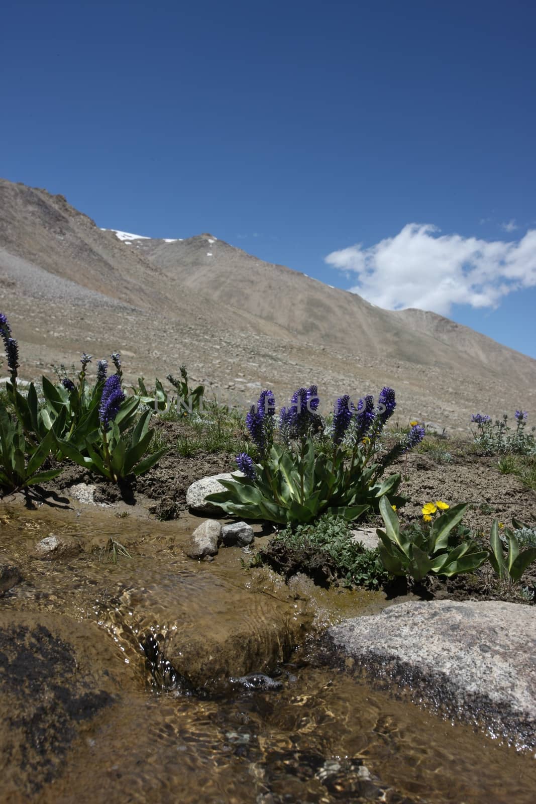 Pamir region Russian Federation Central Asia mountain landscapes by desant7474