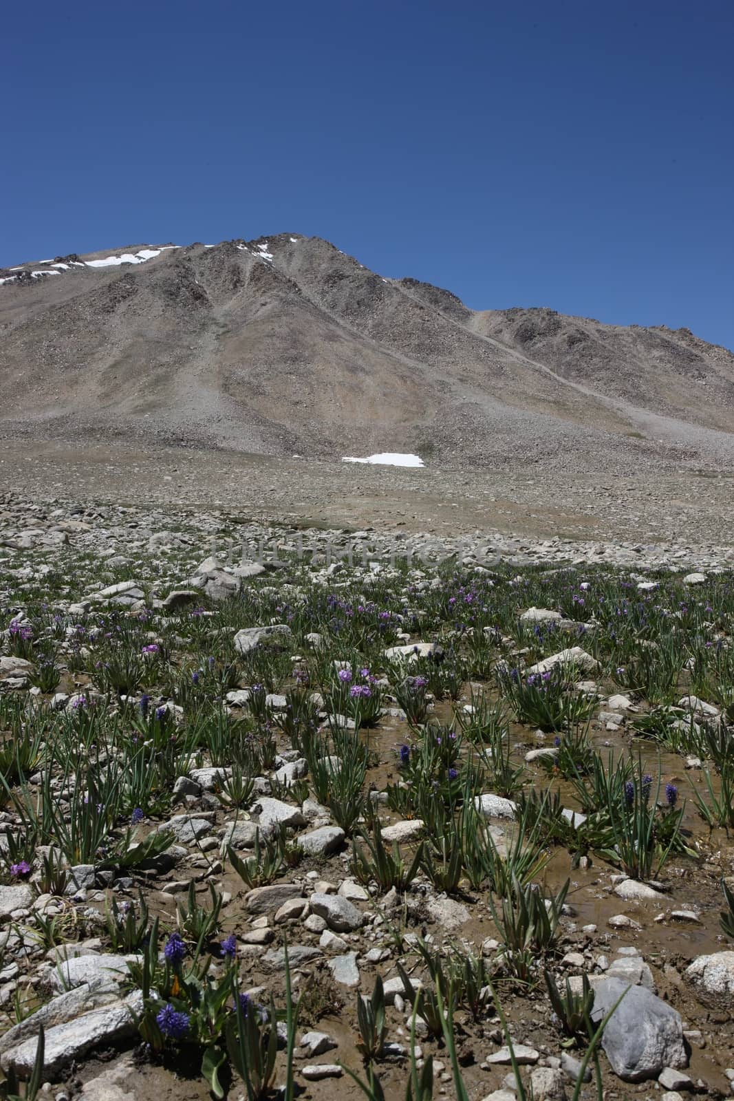 Pamir region Russian Federation Central Asia mountain landscapes by desant7474