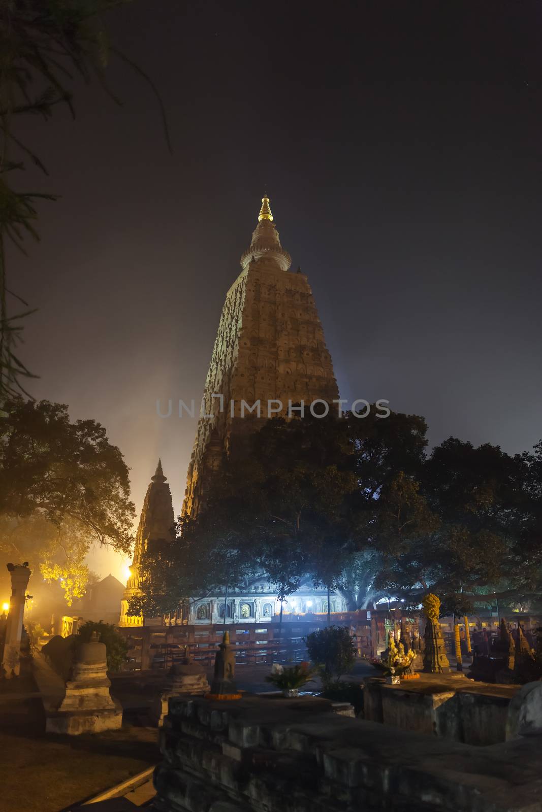 Night illumination of a Bodkhi-tree near base of Mahabodhi Temple, on the place where Buddha Shakyamuni has reached an enlightenment.
