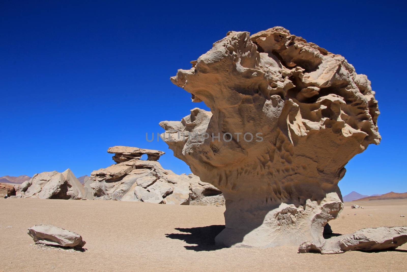 The famous rock formation stone tree or arbol de piedra in the desert of southwest Bolivia, South America
