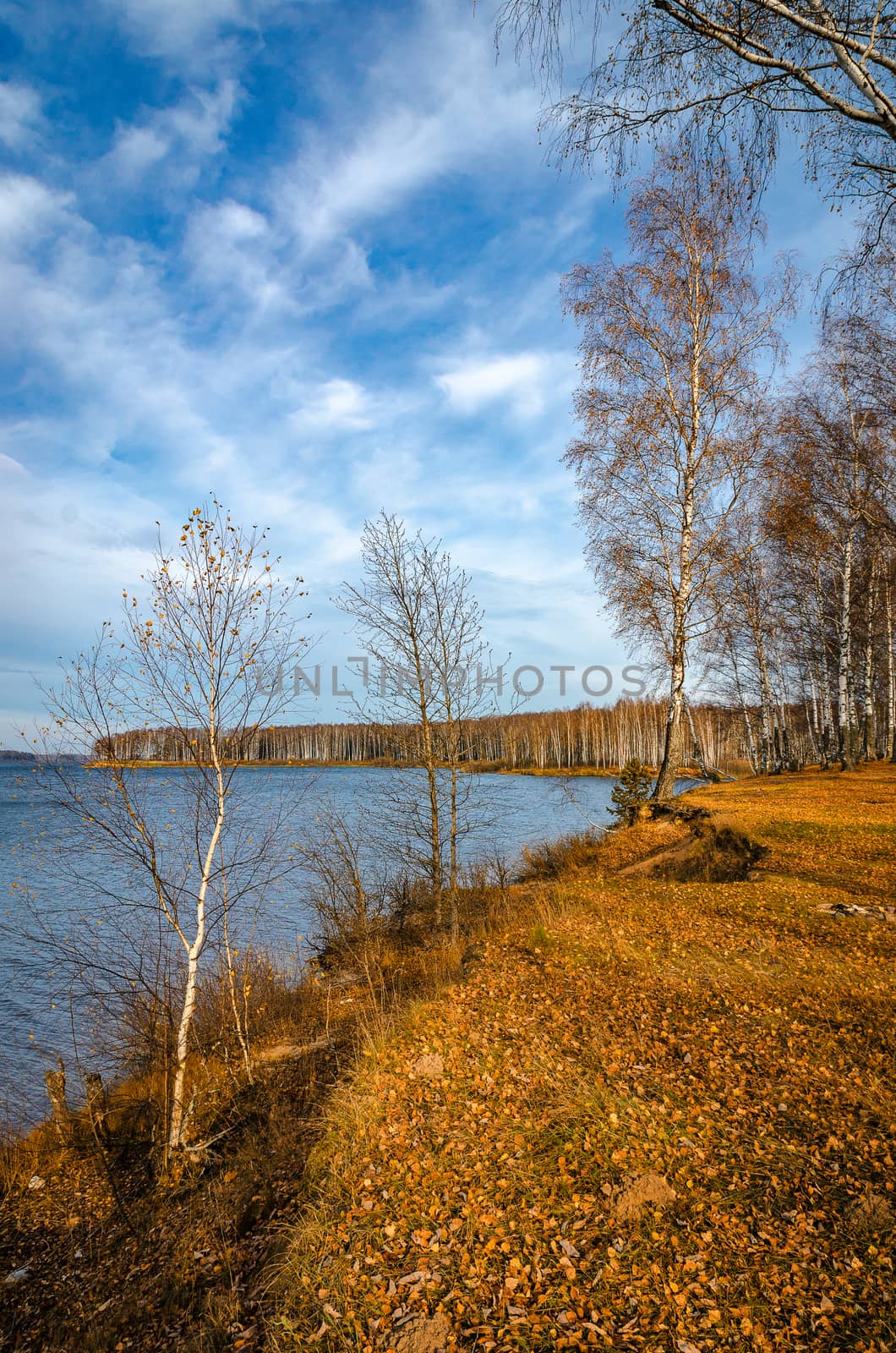 Landscape on a river in Golden autumn
