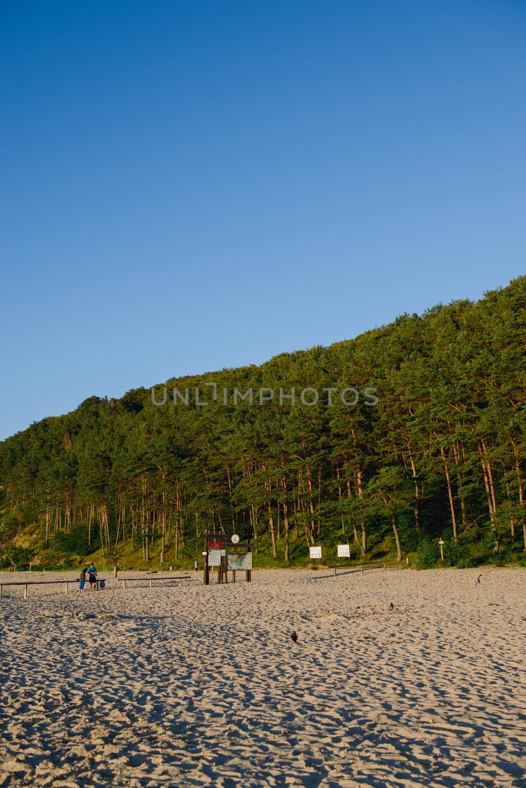 beach and Baltic Sea in summer time