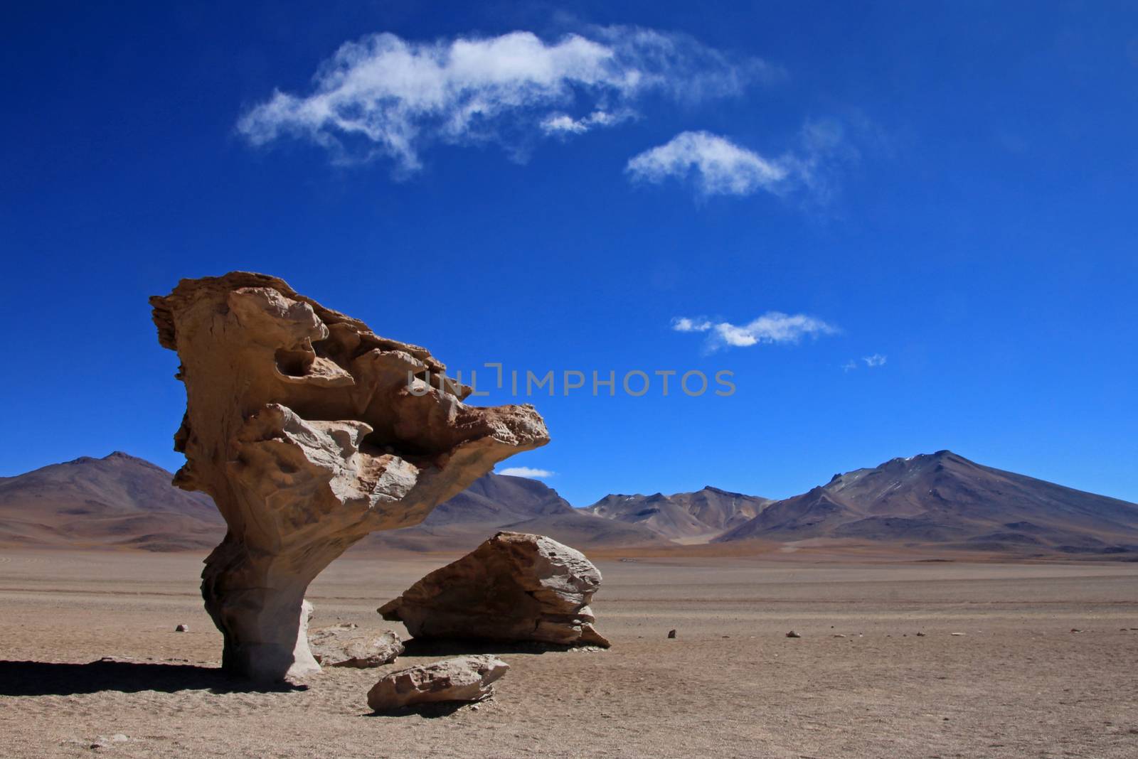 The famous rock formation stone tree or arbol de piedra in the desert of southwest Bolivia, South America