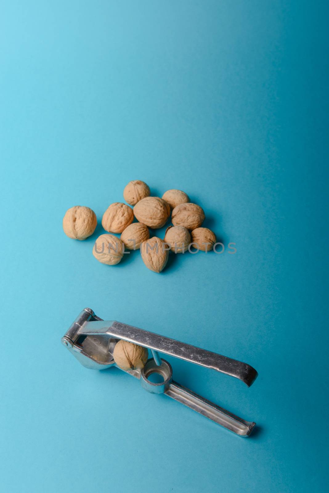 Walnuts with nutcracker, walnuts close-up, walnuts on a blue background