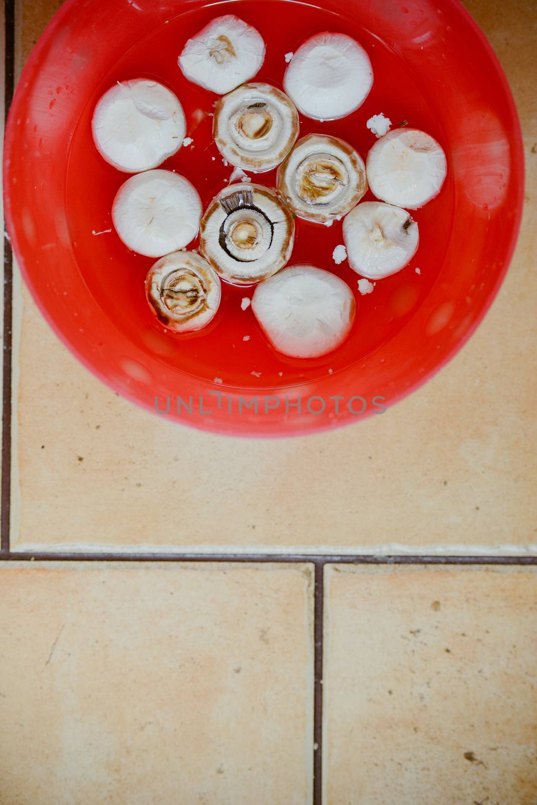 Raw mushrooms in bowl in the kitchen