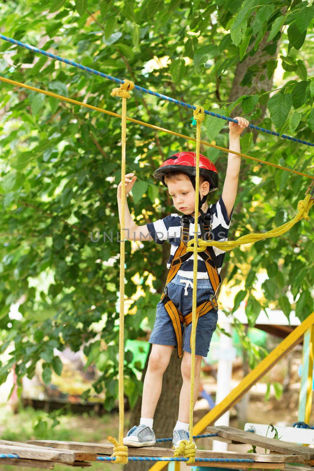 Kids climbing in adventure park. Boy enjoys climbing in the ropes course adventure. Child climbing high wire park. Happy boys playing at adventure park, holding ropes and climbing wooden stairs.