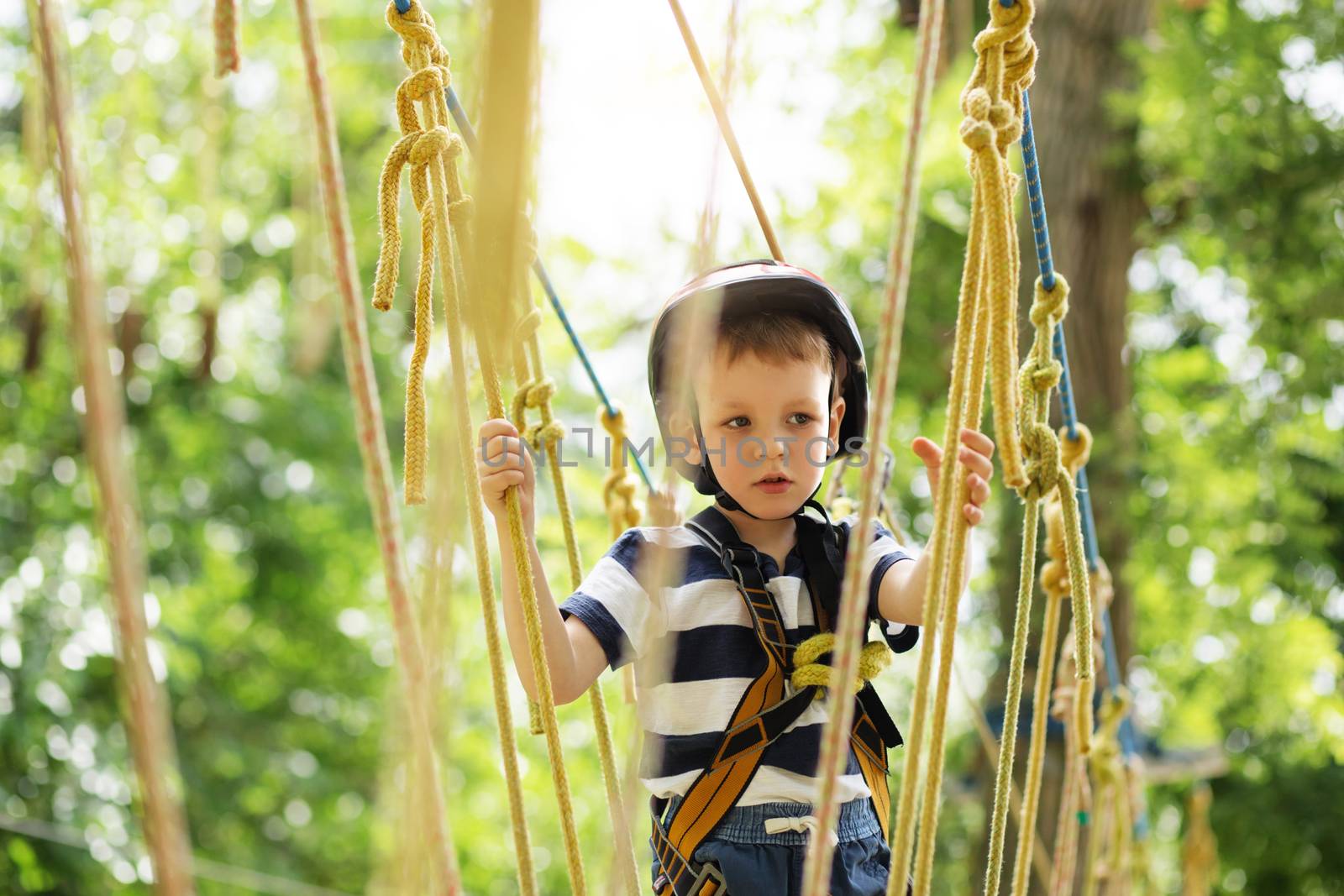 Kids climbing in adventure park. Boy enjoys climbing in the ropes course adventure. Child climbing high wire park. Happy boys playing at adventure park, holding ropes and climbing wooden stairs.