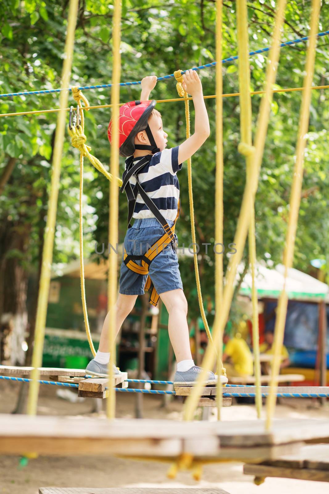 Kids climbing in adventure park. Boy enjoys climbing in the ropes course adventure. Child climbing high wire park. Happy boys playing at adventure park, holding ropes and climbing wooden stairs.