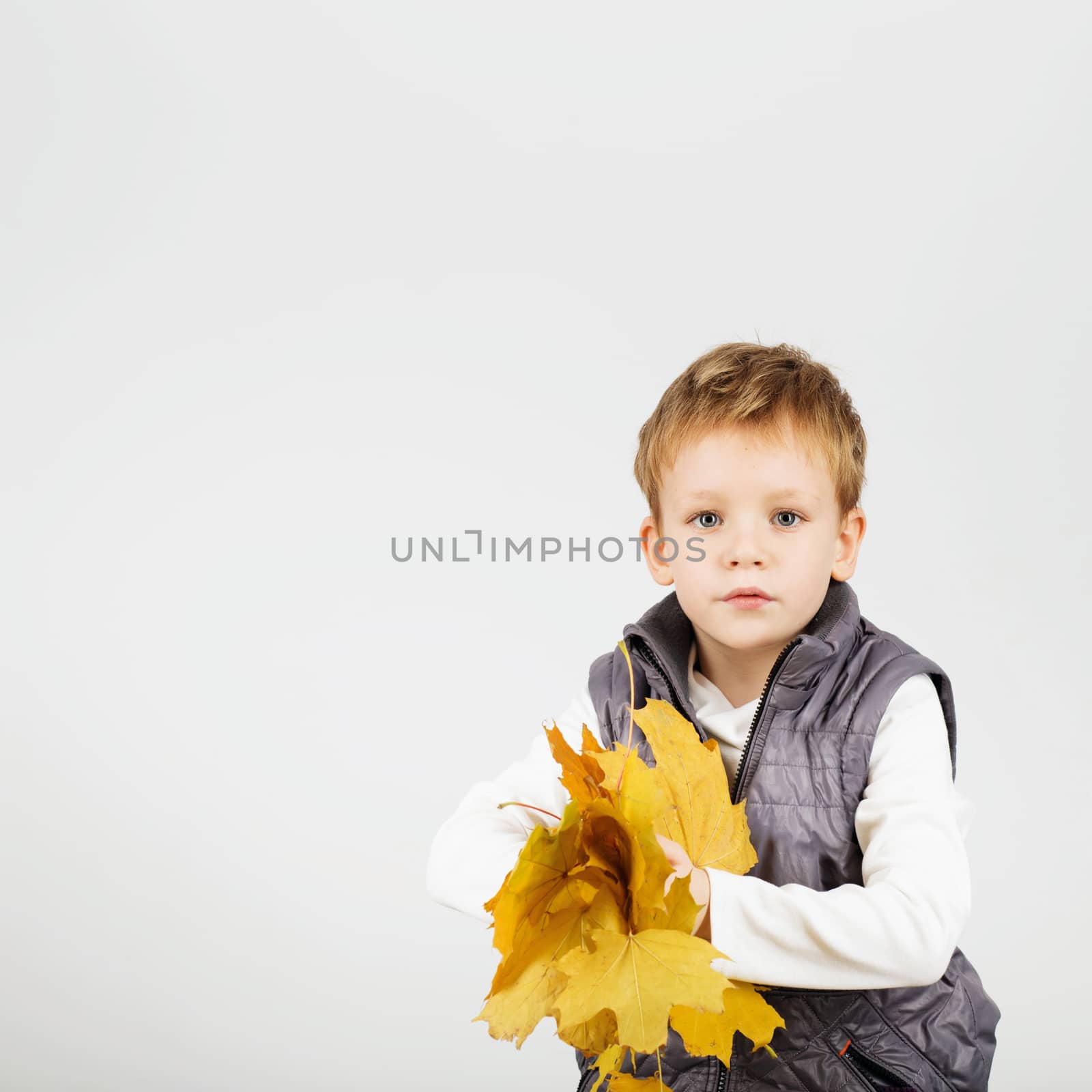 Portrait of happy joyful beautiful little boy against white background. Child holding a yellow maple leaves. Kid throws up a autumn yellowed foliage