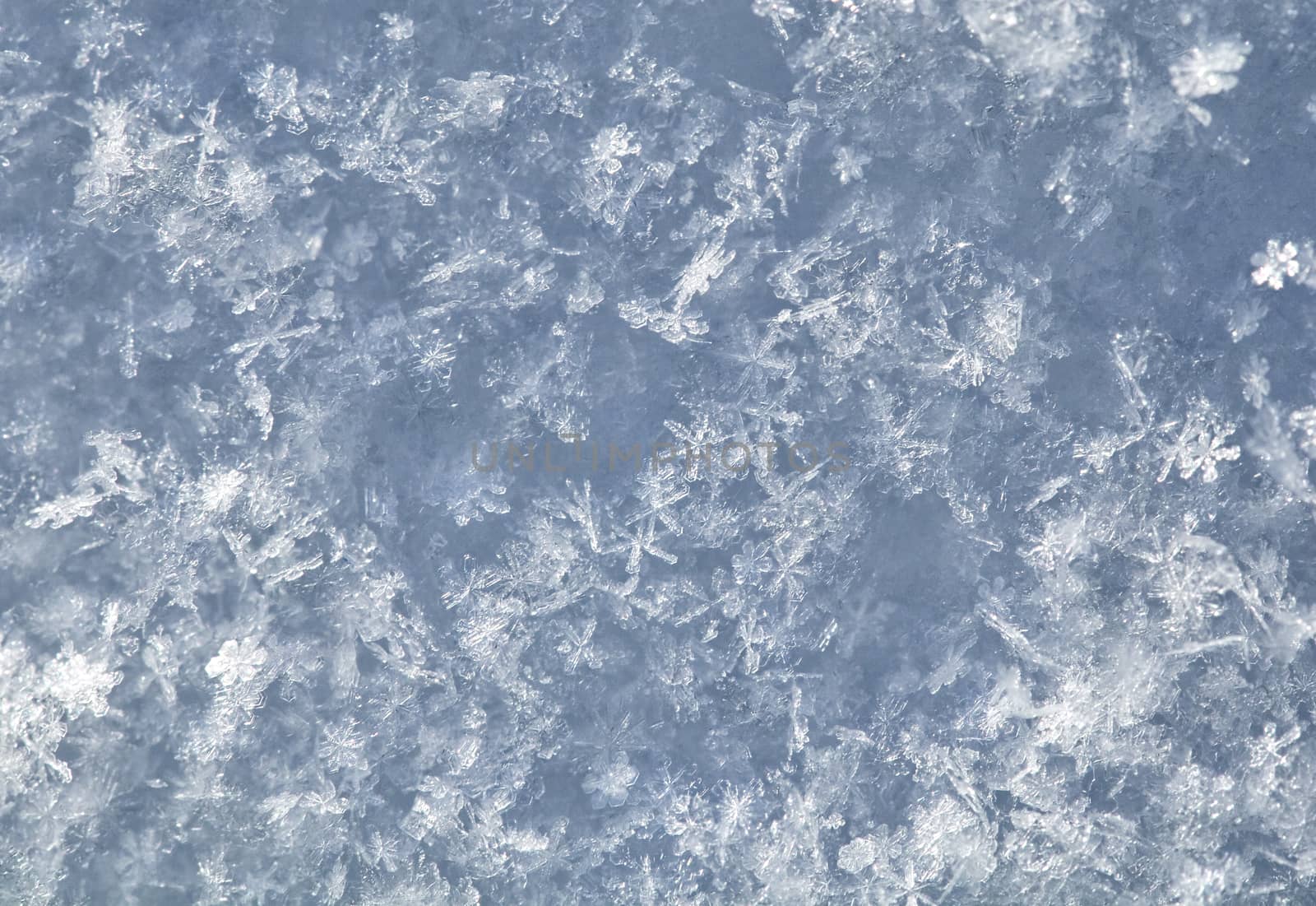 Surface of fresh snow in winter, macro shot