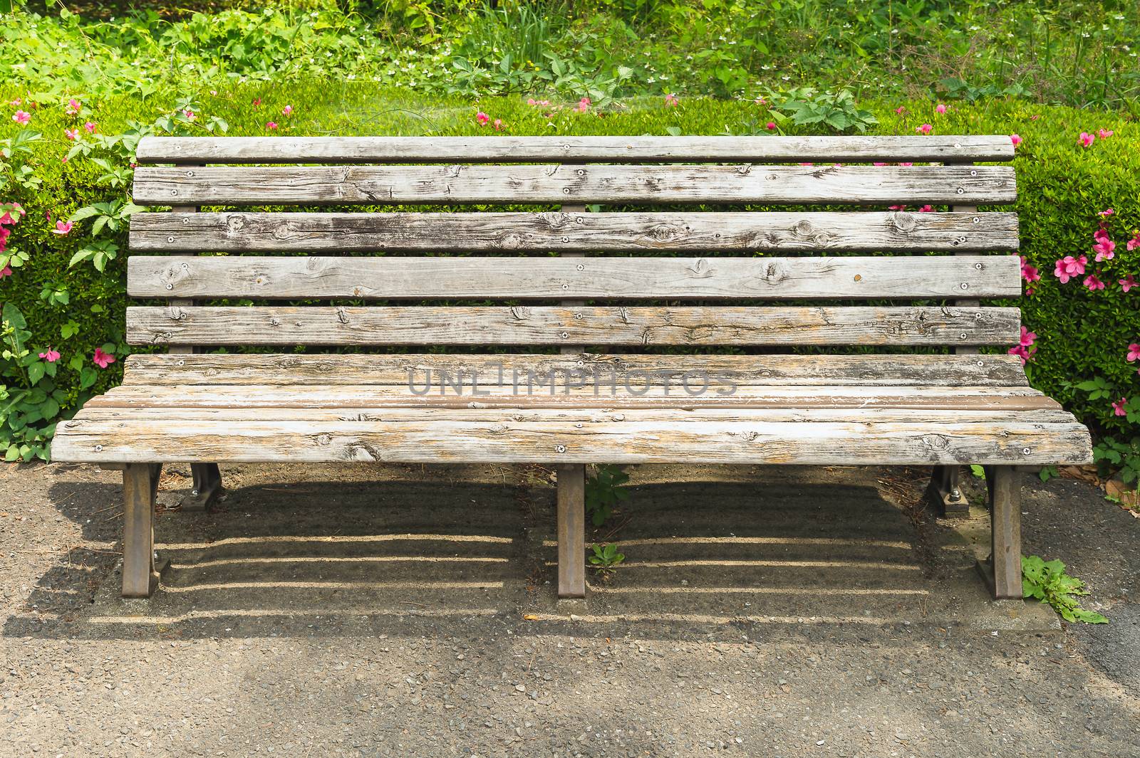 Wooden bench in the park by luckyfim