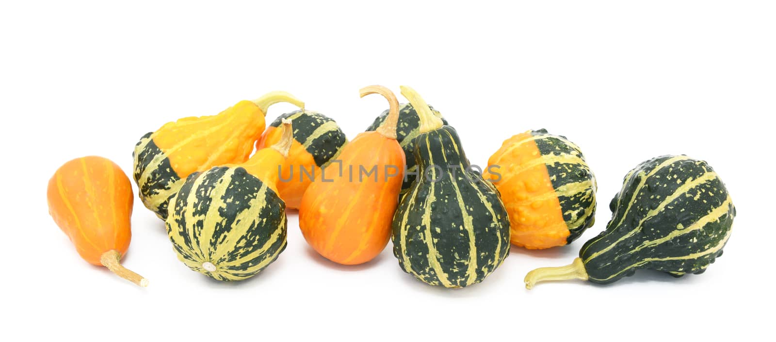 Green, orange and yellow ornamental gourds, isolated on a white background