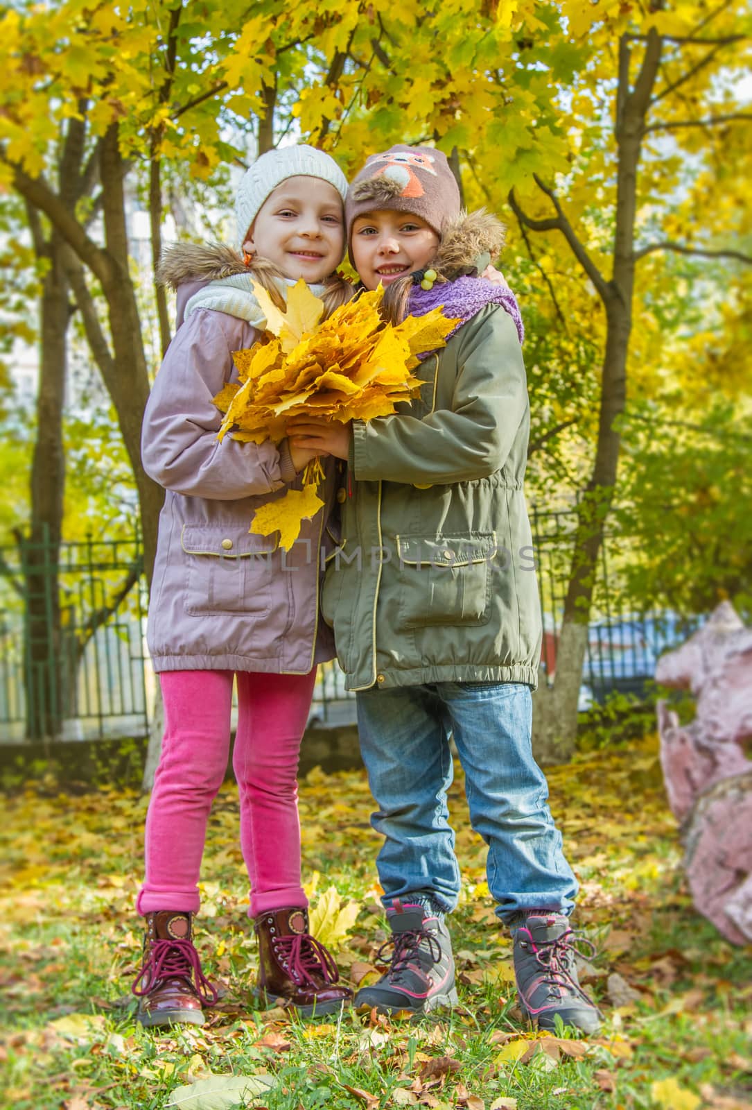 Lovely girls with yellow maple leaves by Angel_a