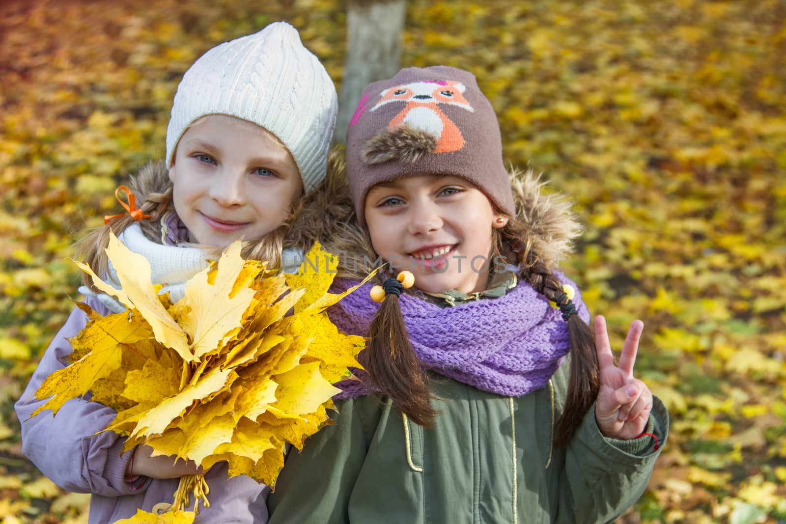 Two cheerful girls with maple yellow leaves