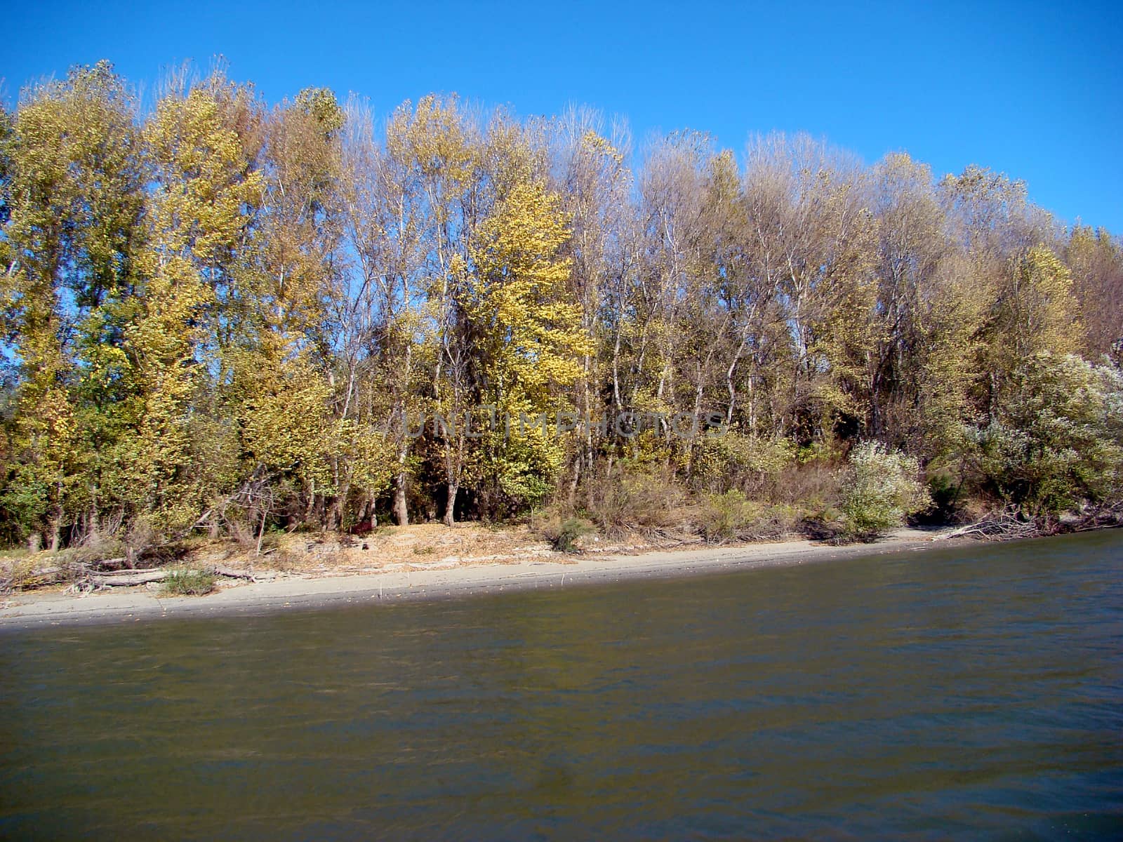 Autumn cold and quiet islands and channels of the Danube River.
It sees the Danube shores, islands, channels, floodplain forests, shrubs, grasses, lakes, dressed in specific colors of the autumn season.
