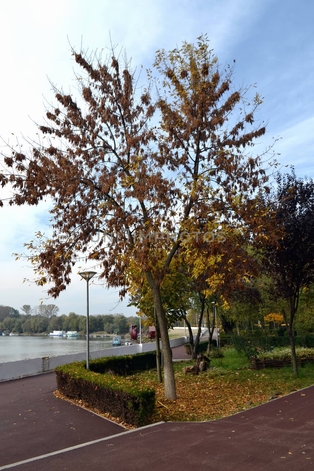 In the middle of the park fall it is at home.Opened a renowned painter easel and colors spread through the trees, the bushes, the grasses.