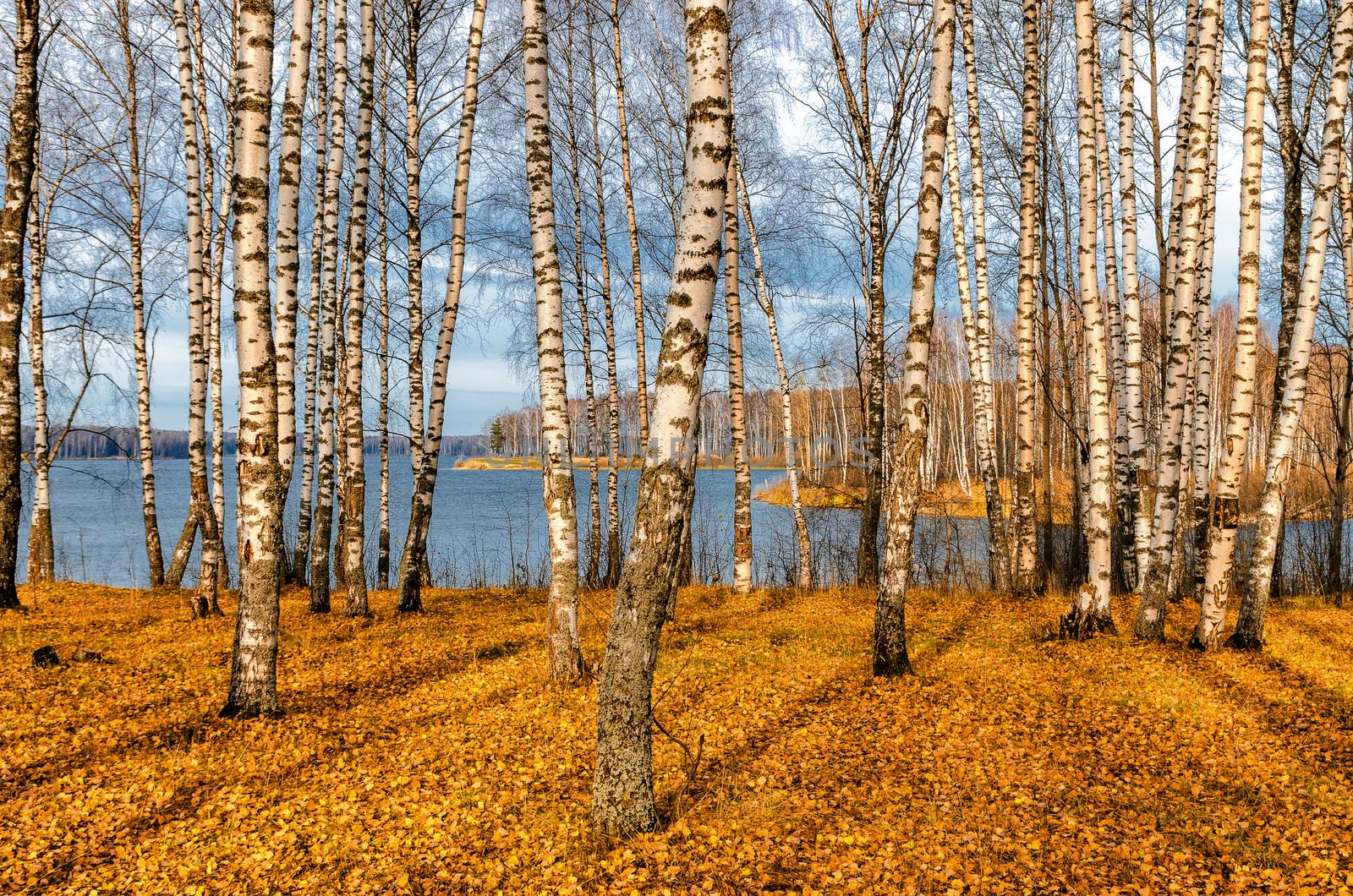 Bright colors of Golden autumn in the country on the shore of the reservoir