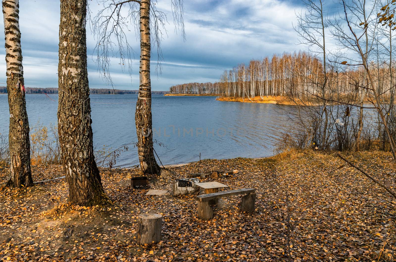 Bright colors of Golden autumn in the country on the shore of the reservoir