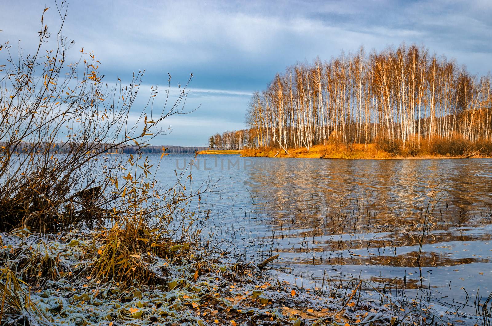 Bright colors of Golden autumn in the country on the shore of the reservoir
