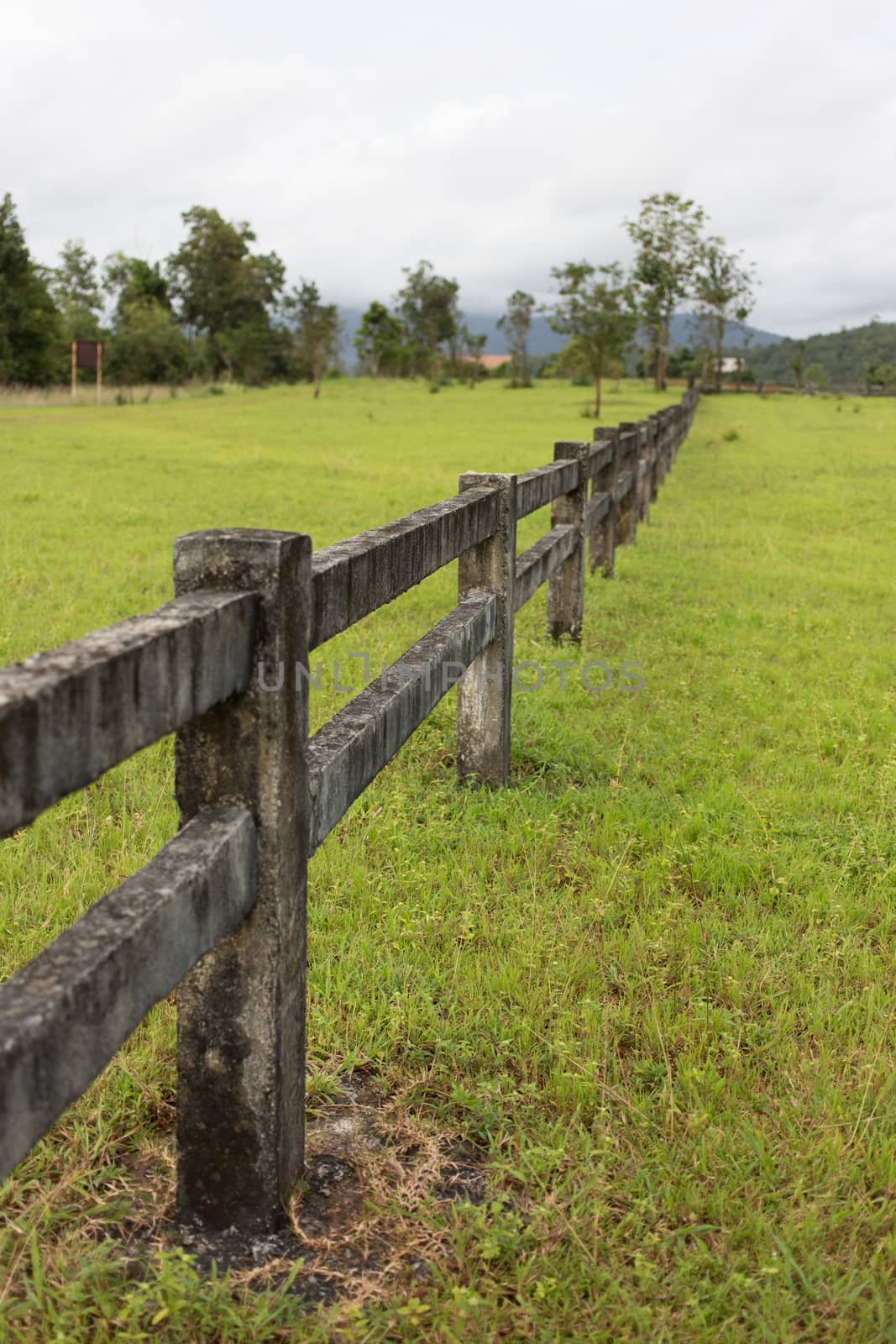 fence in field of grass in mountain by ngarare