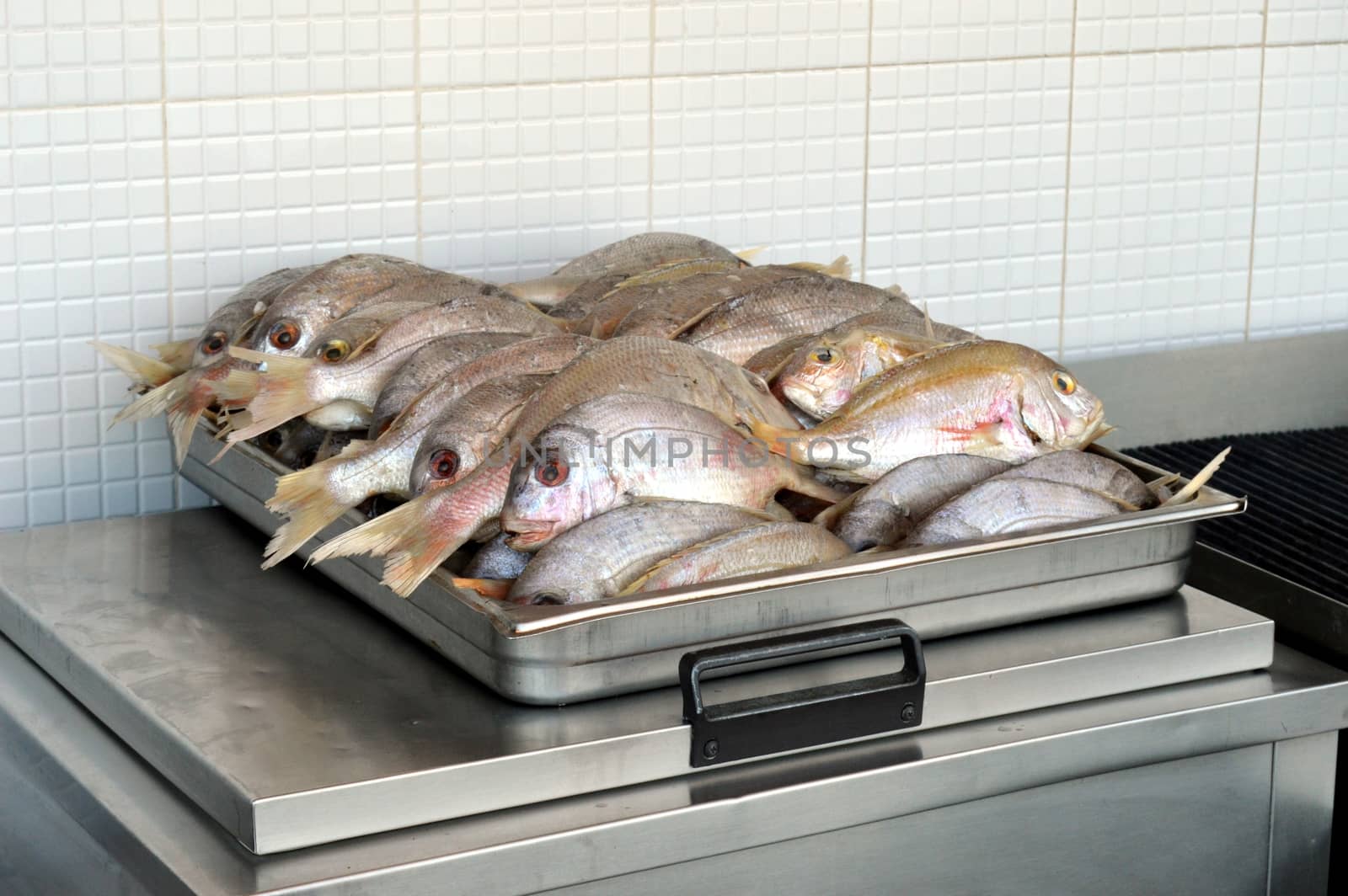 Tray of sea bream whole. by Philou1000