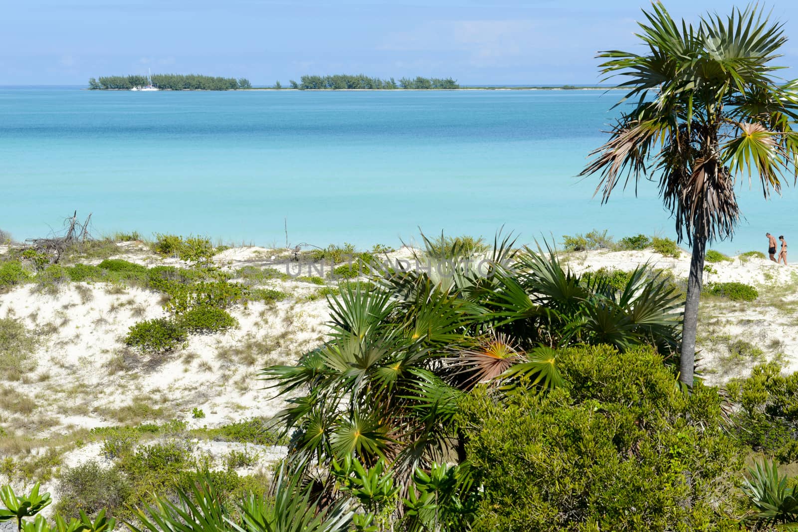 Cayo Guillermo, Cuba - 16 january 2016: people walking in clear water of Cayo Guillermo beach, Cuba