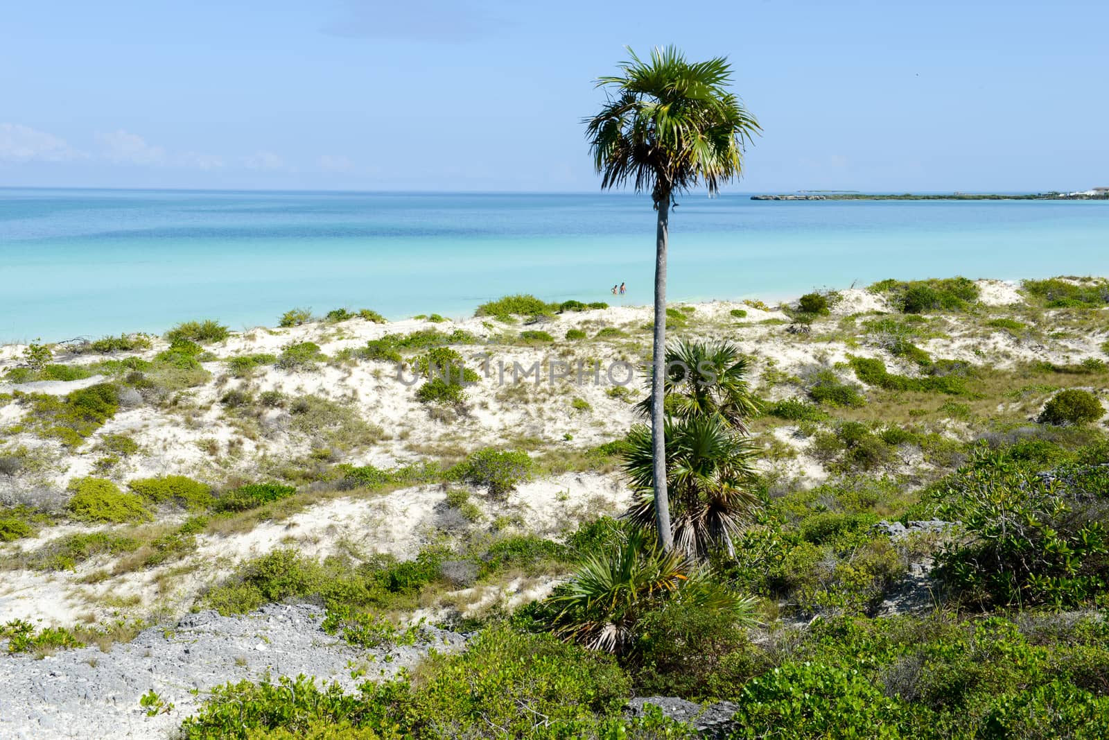 Cayo Guillermo, Cuba - 16 january 2016: people walking in clear water of Cayo Guillermo beach, Cuba