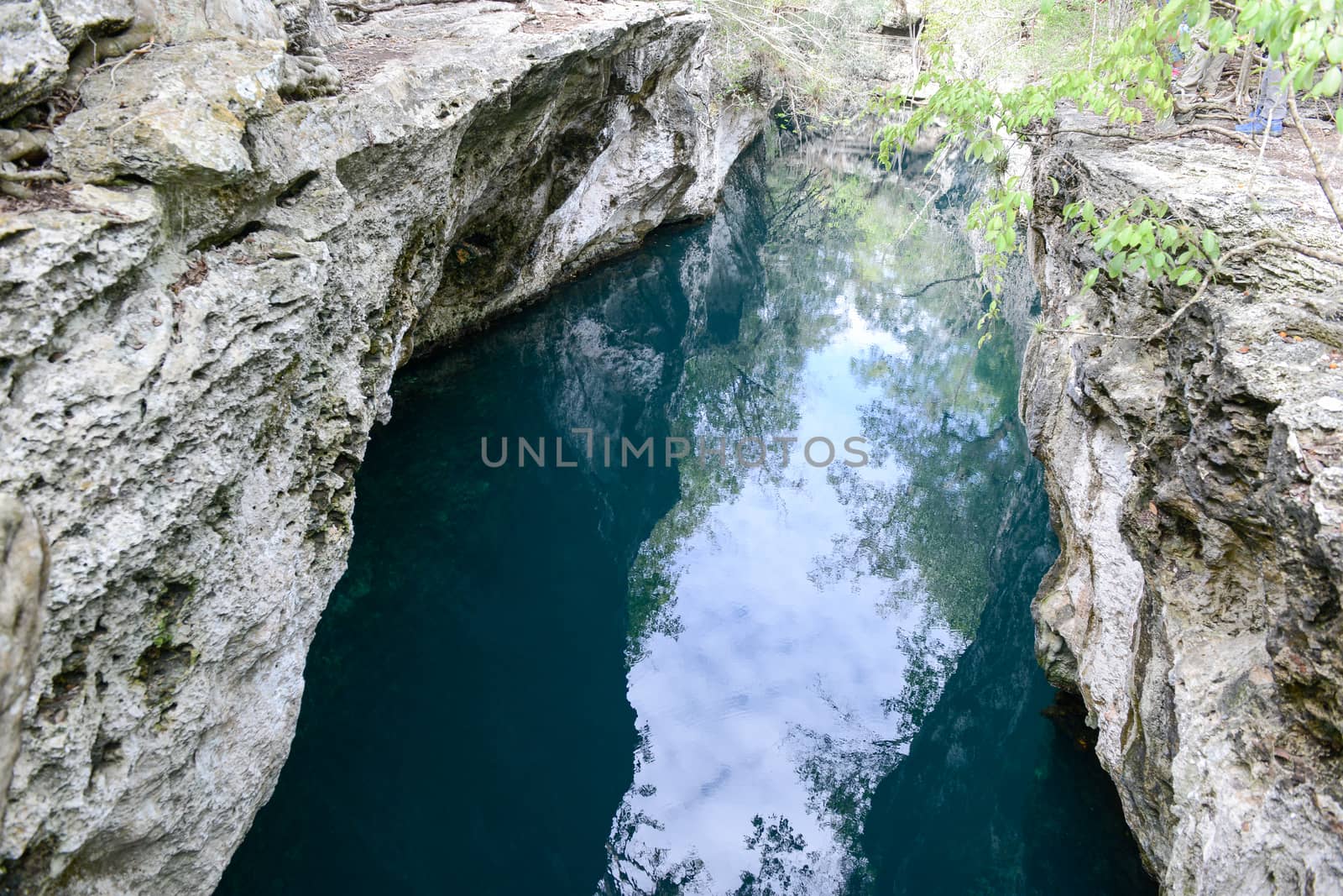 Forest with a cenote at Giron by Fotoember