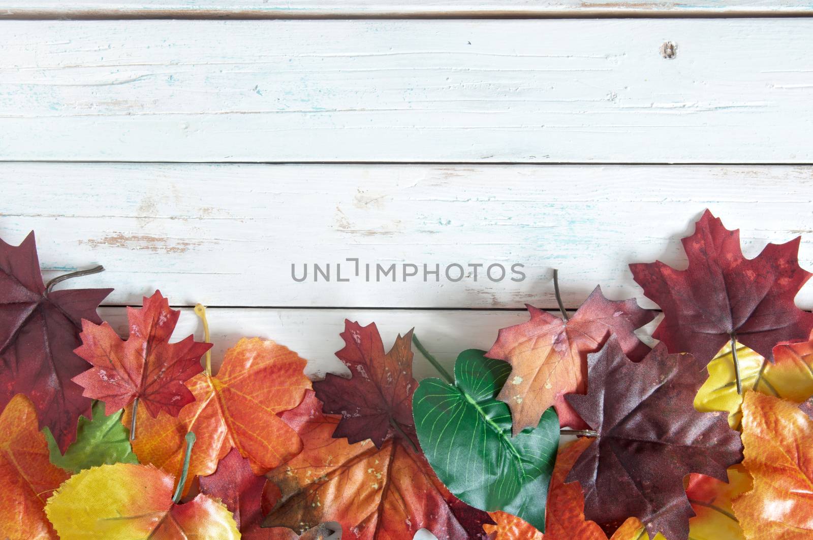 Autumn maple leaves over a wooden background with space 