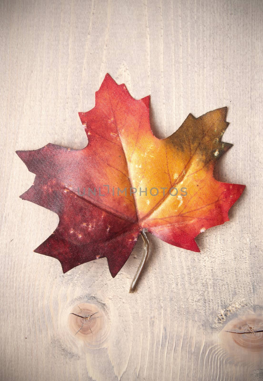 Autumn leaf on top of a wooden background