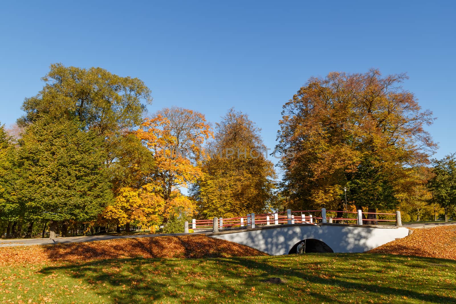 Beautiful landscape - Urban autumn landscape