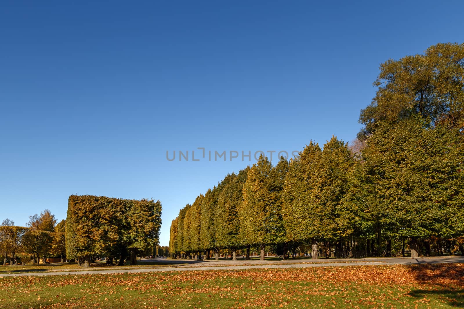 Beautiful landscape - Urban autumn landscape