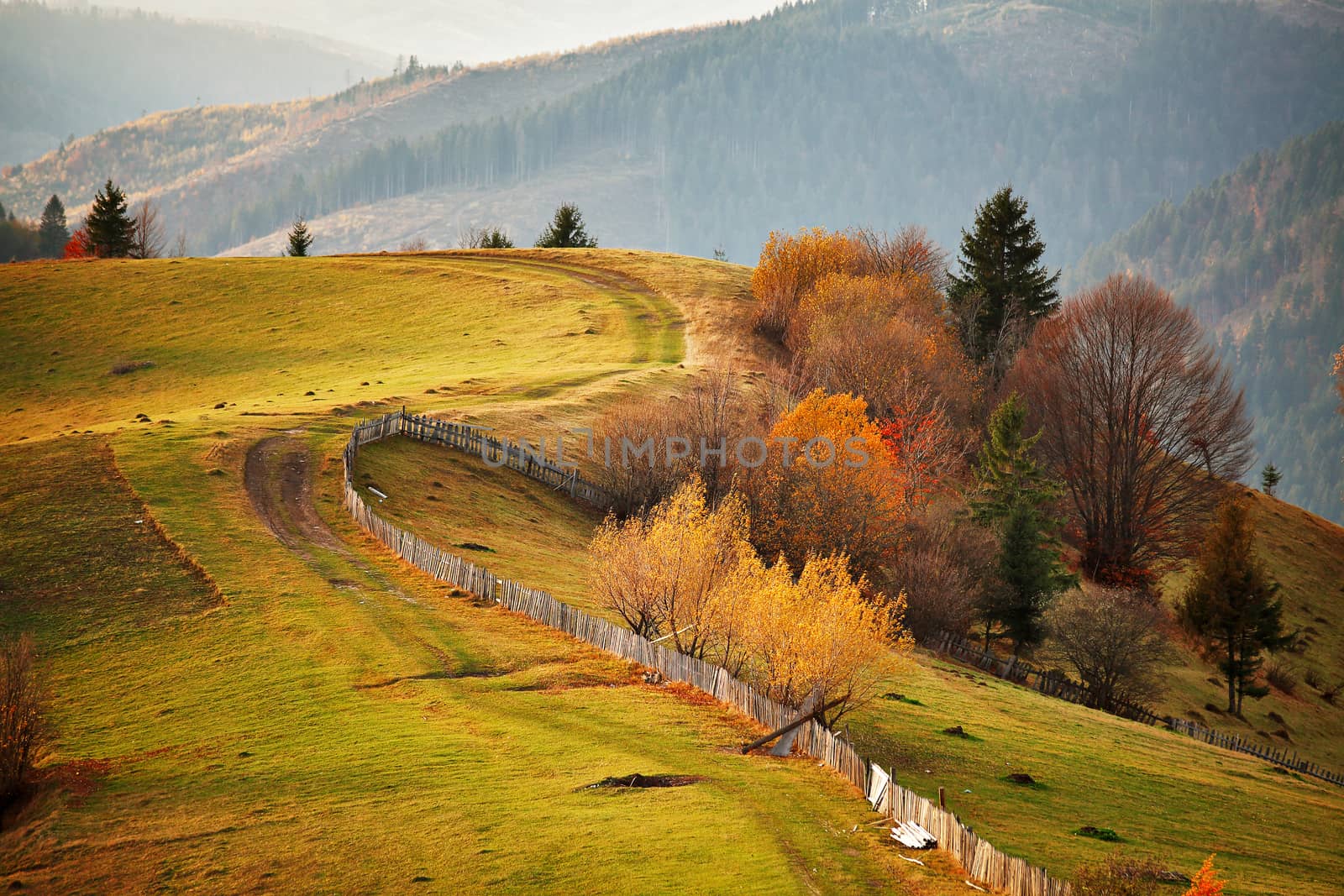 Autumn mountain panorama. October on Carpathian hills. Fall