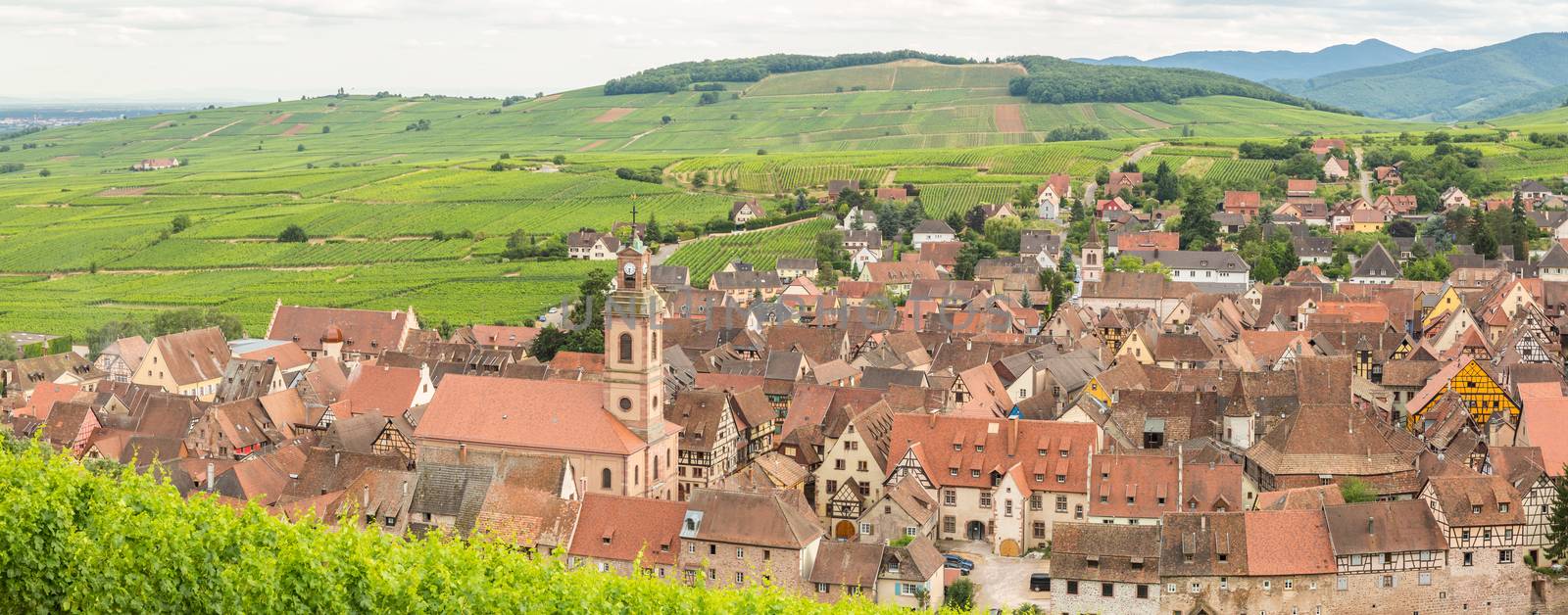 Riquewihr in the heart of the Alsatian vineyard Alsace France Panorama