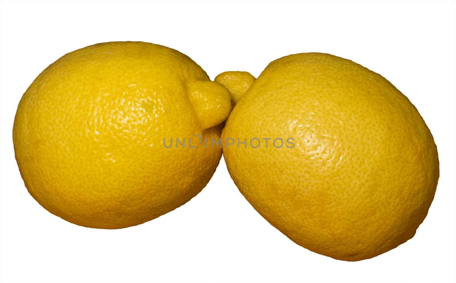 Two yellow whole unpeeled lemons, lying side by side, like kissing. Fruits, isolated on a white background. Selective focus image.