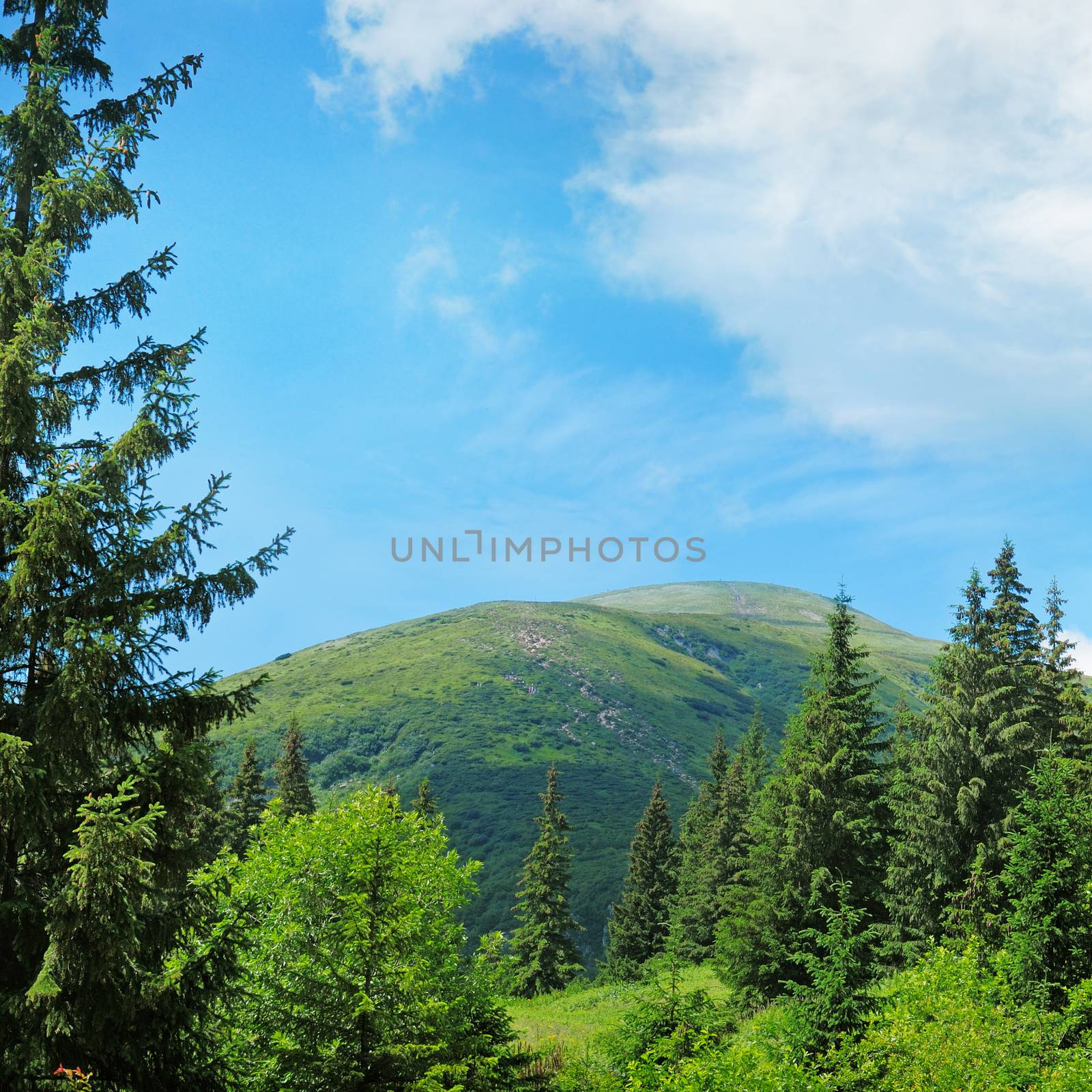 scenic mountain peaks against the blue sky by galina_velusceac