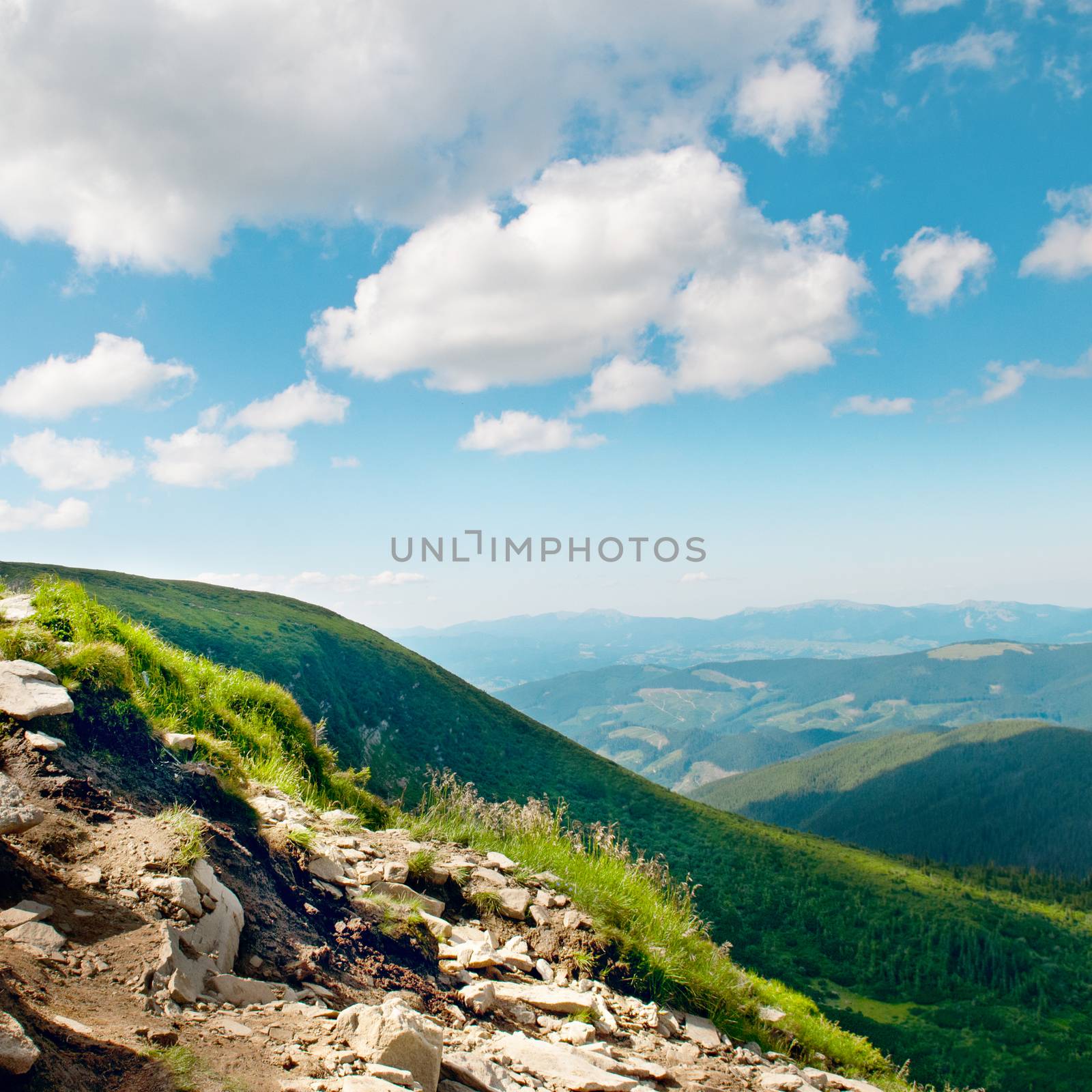 Mountain view from the top of Goverli, Carpathians by galina_velusceac