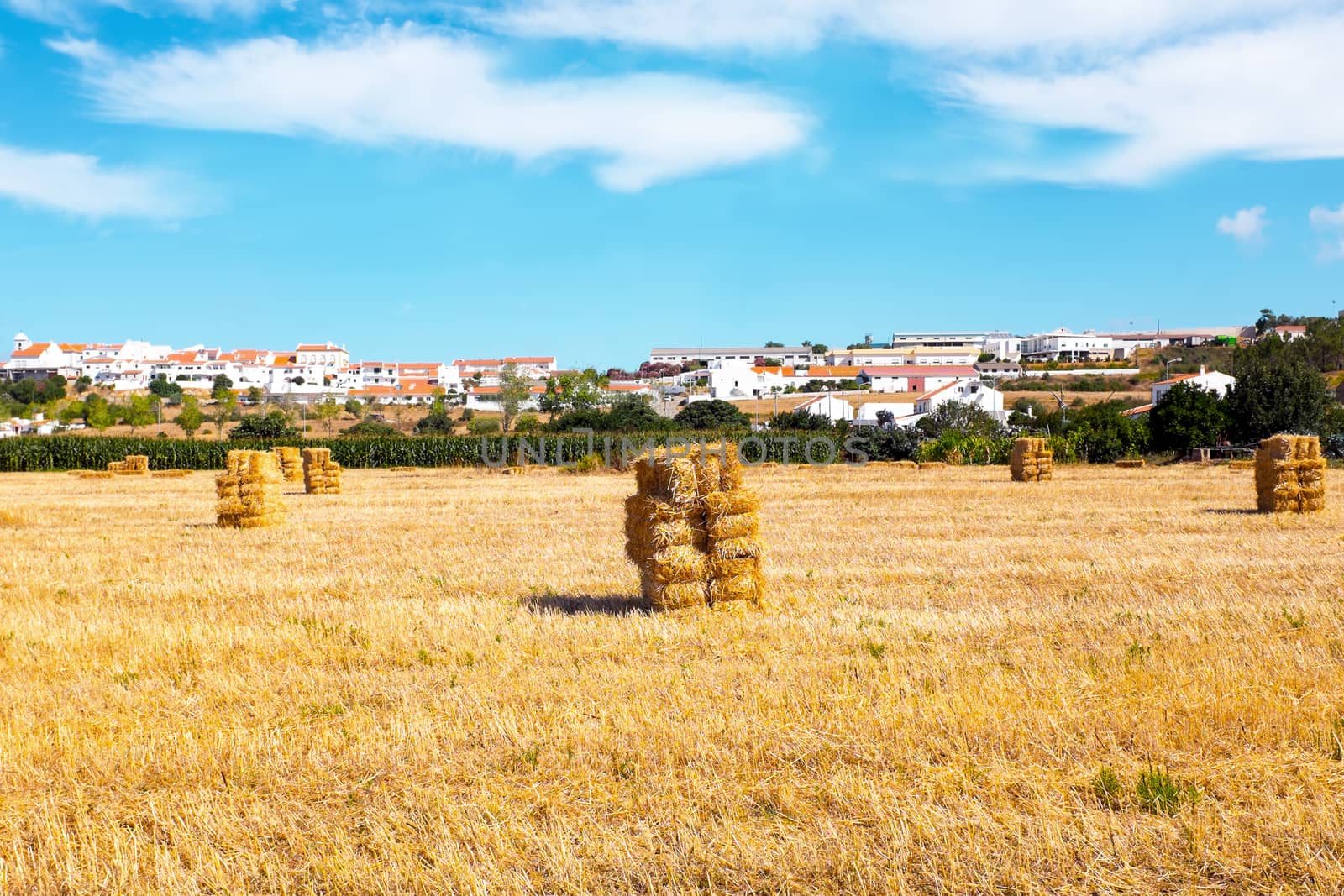 Hay bales in the fields near Aljezur in Portugal