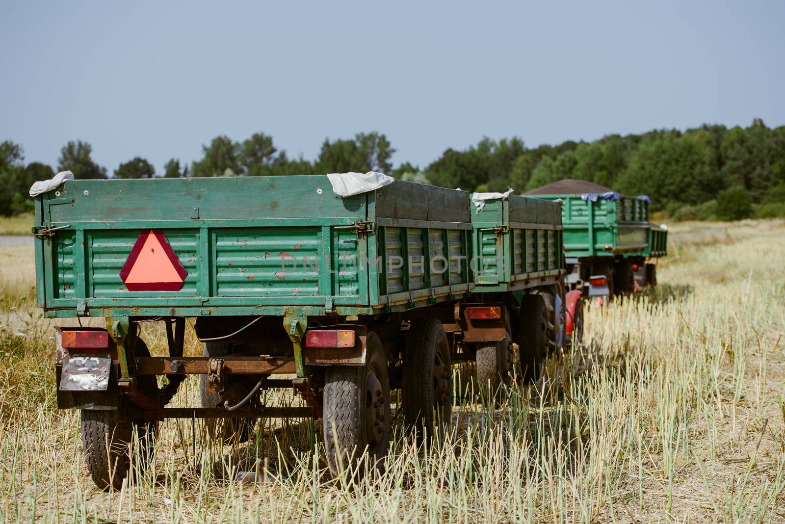 black small rapeseed on a trailer freshly harvested