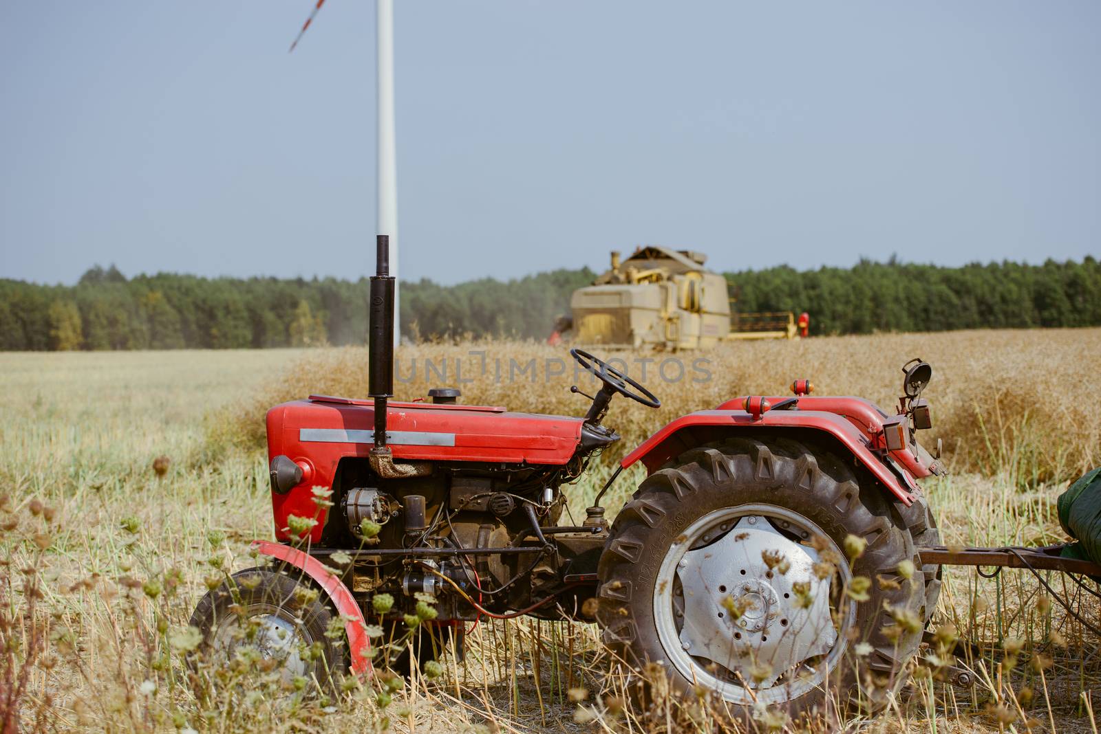 small tractor with trailer full of wheat grain